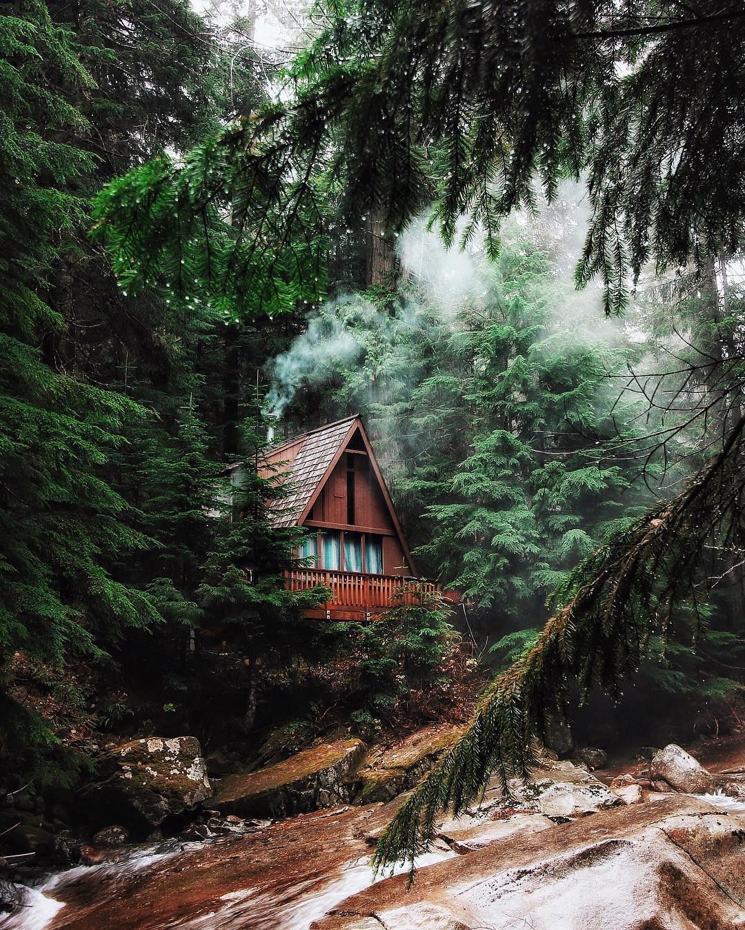 General 1080x1349 forest river landscape cabin pine trees wet hut deep forest