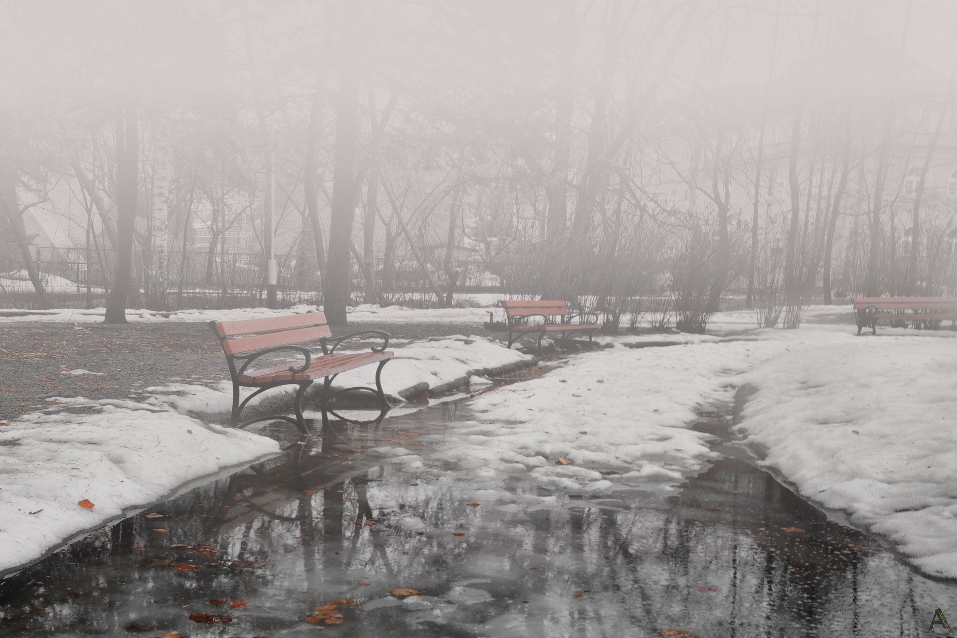 General 1920x1280 outdoors park winter cold bench snow