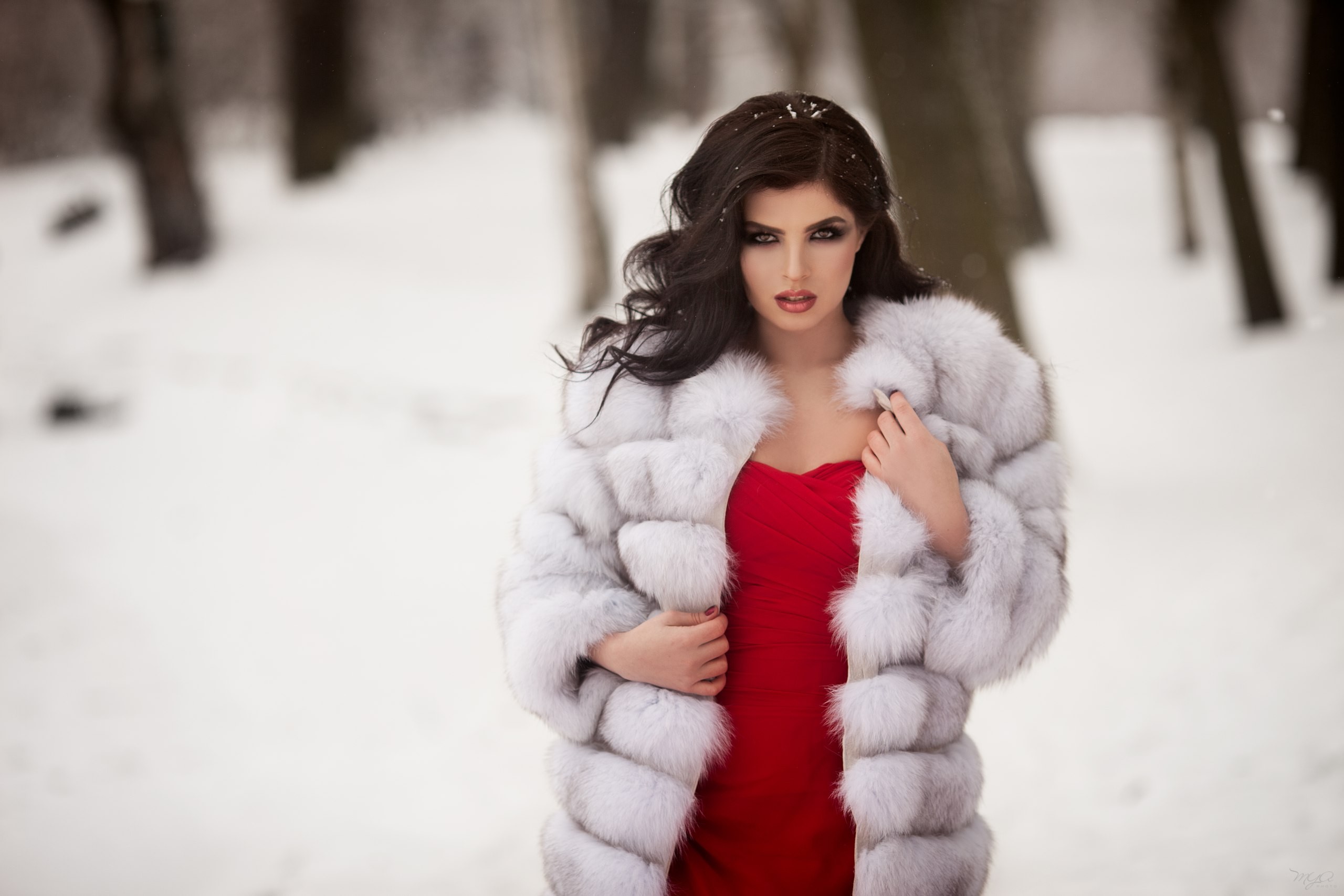 People 2560x1707 Maria Lelechenko women fur coats fur portrait red dress snow depth of field women outdoors painted nails trees looking at viewer white coat winter glamour glamour girls open coat