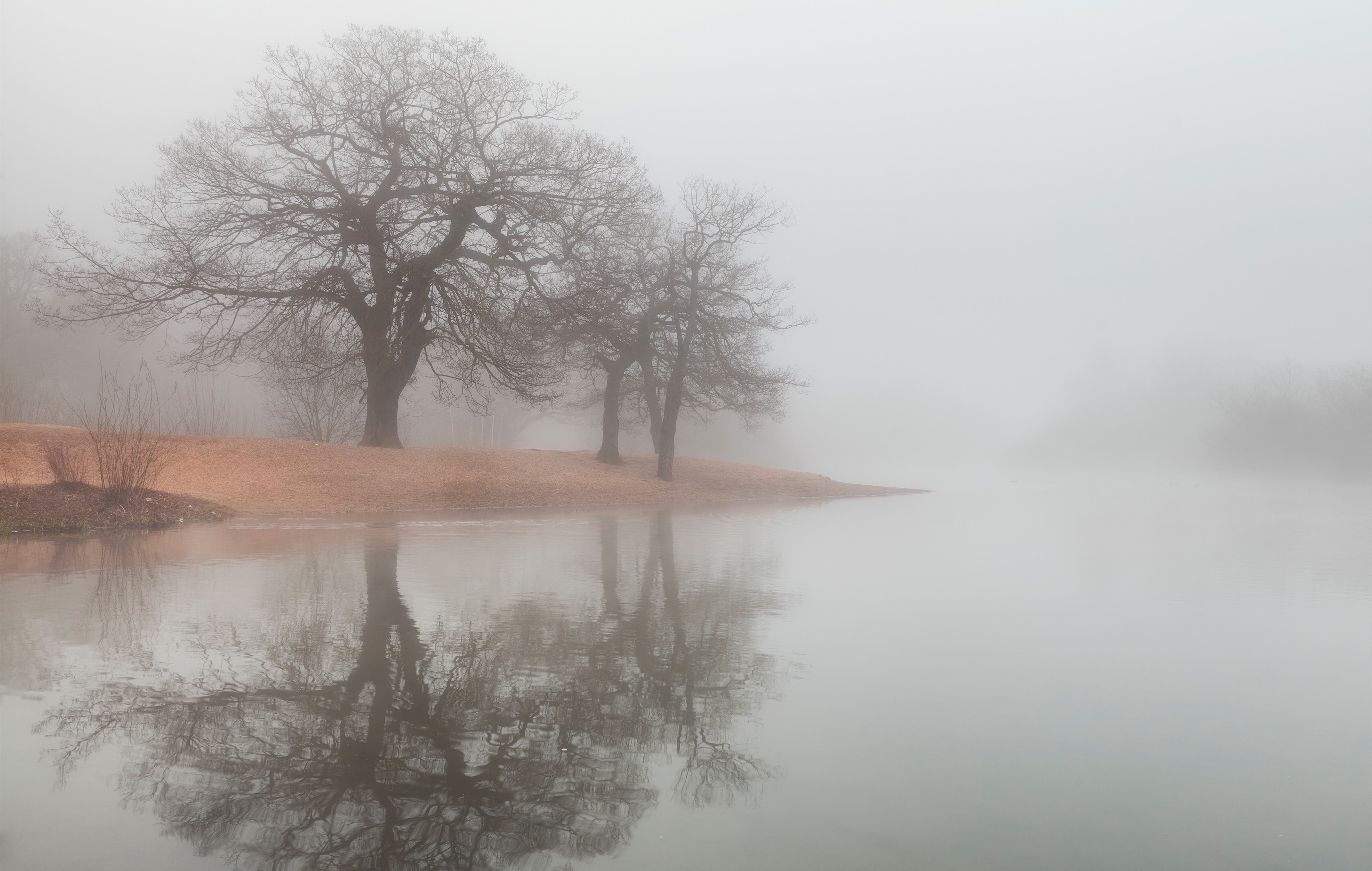 General 2806x1781 mist water reflection nature trees