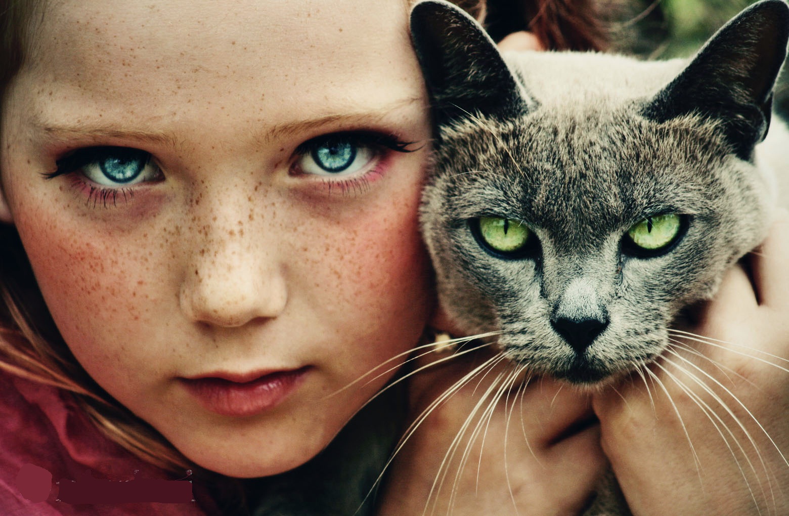 People 1560x1020 portrait eyes children cats friendship animals