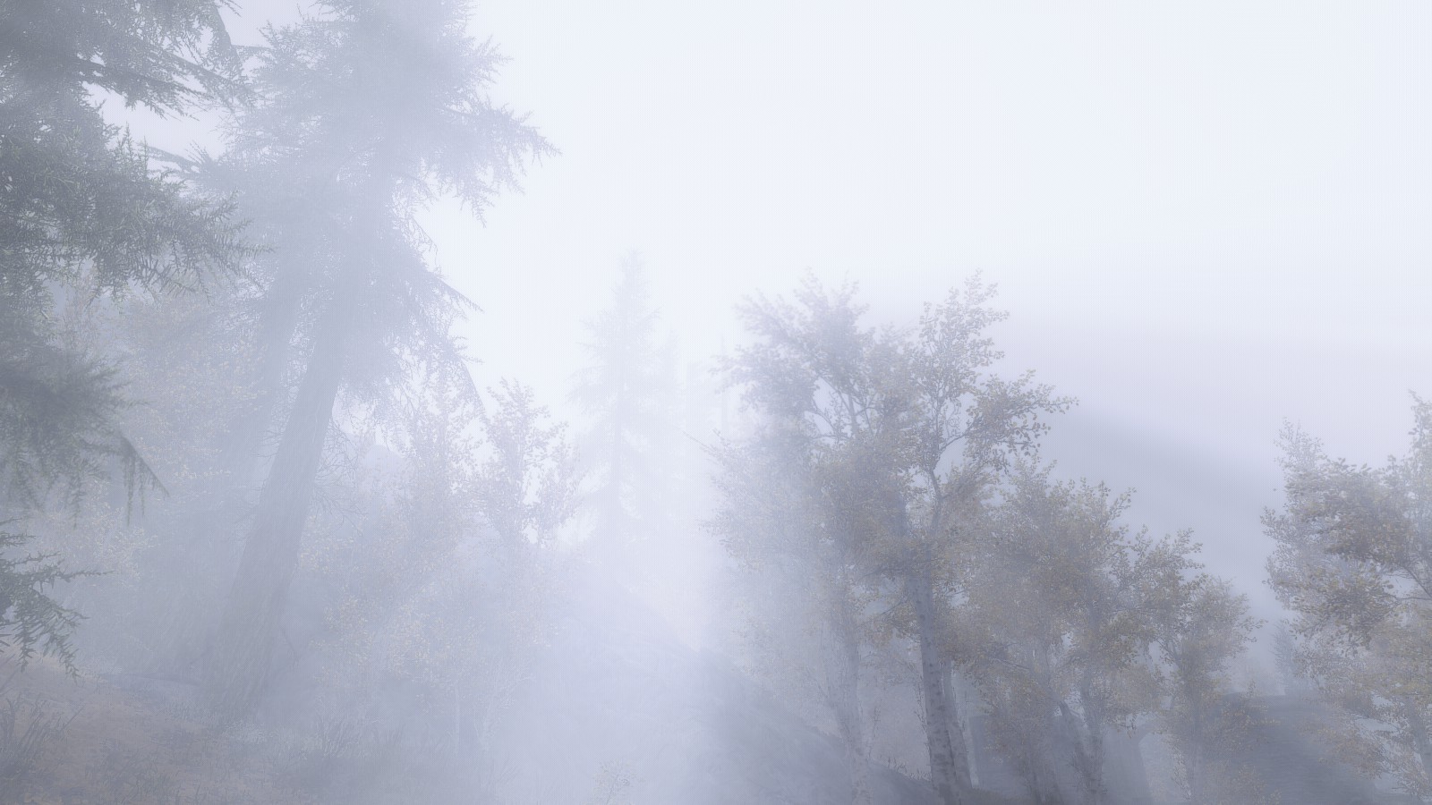 General 1600x900 The Elder Scrolls V: Skyrim environment mist forest