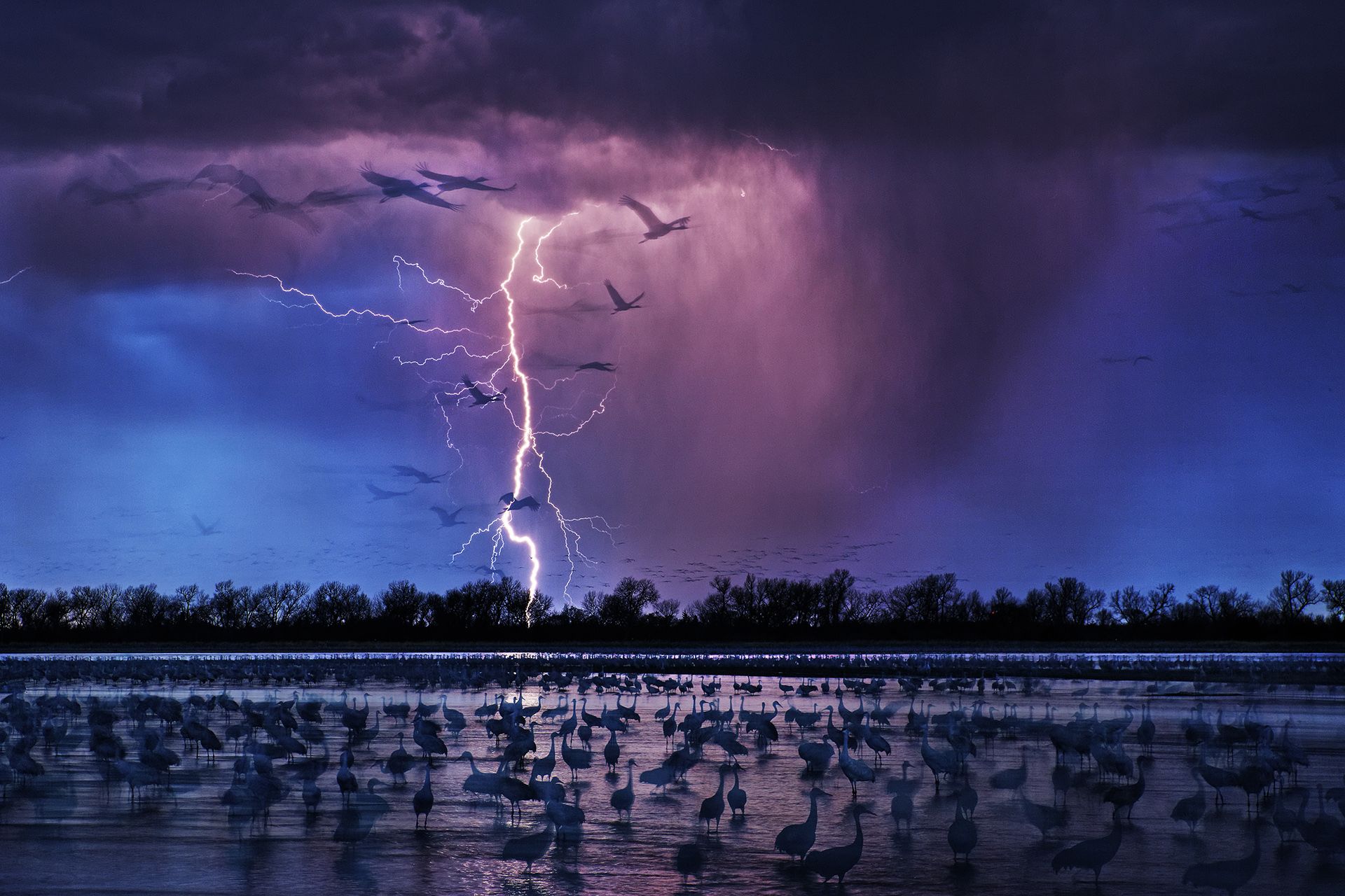 General 1920x1280 nature landscape water clouds sea storm animals birds lightning long exposure rain