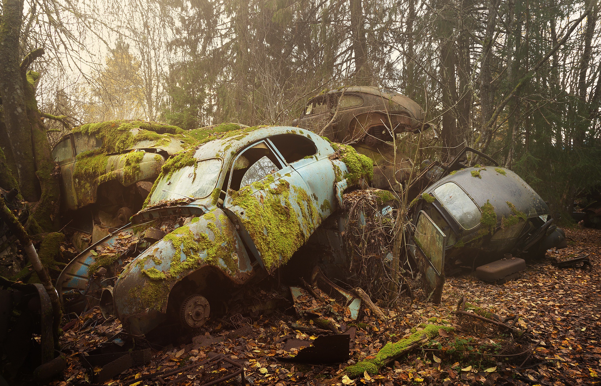 General 2048x1315 car vehicle wreck moss rust