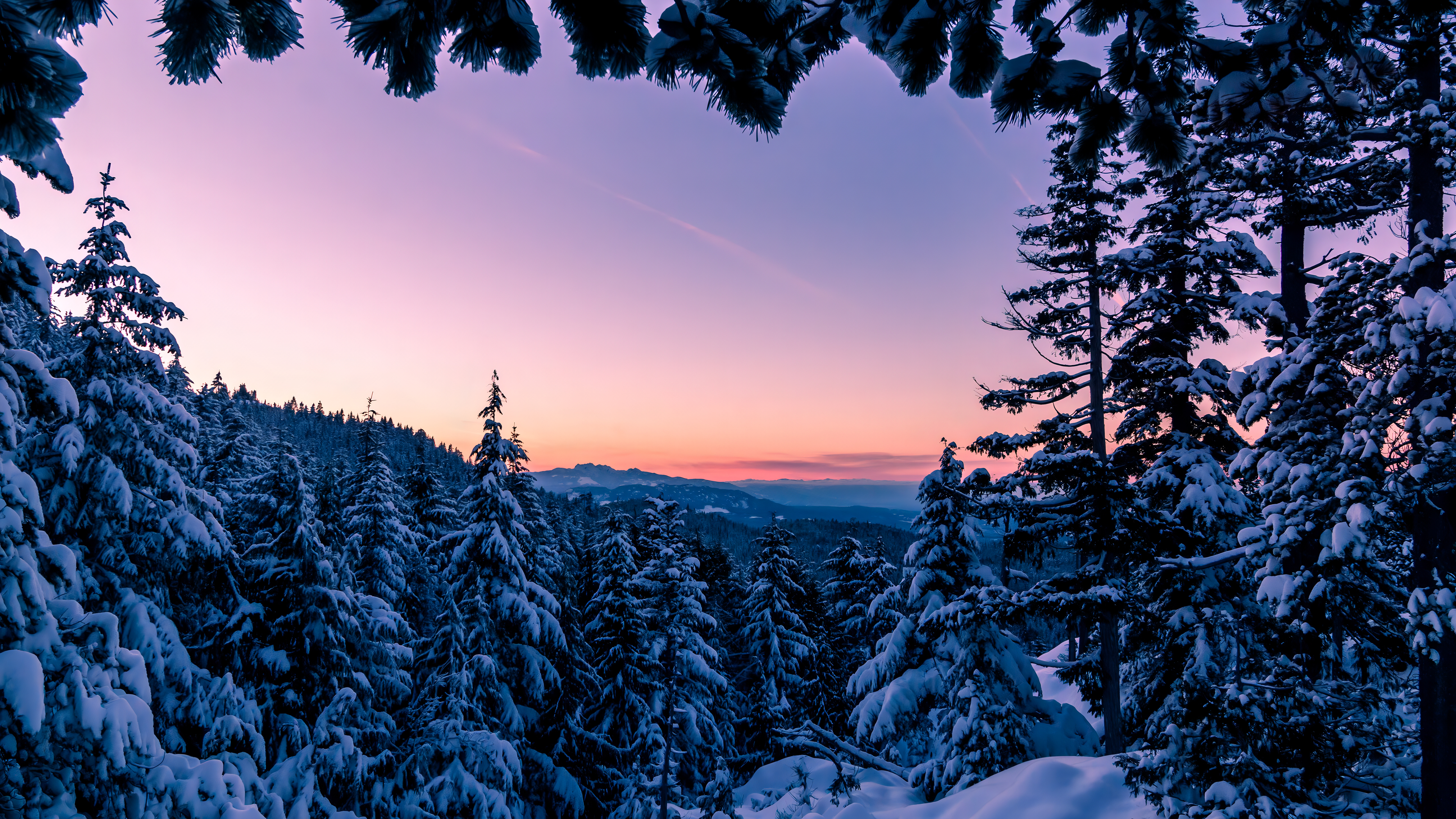 General 3840x2160 winter snow cold forest sunset trees nature