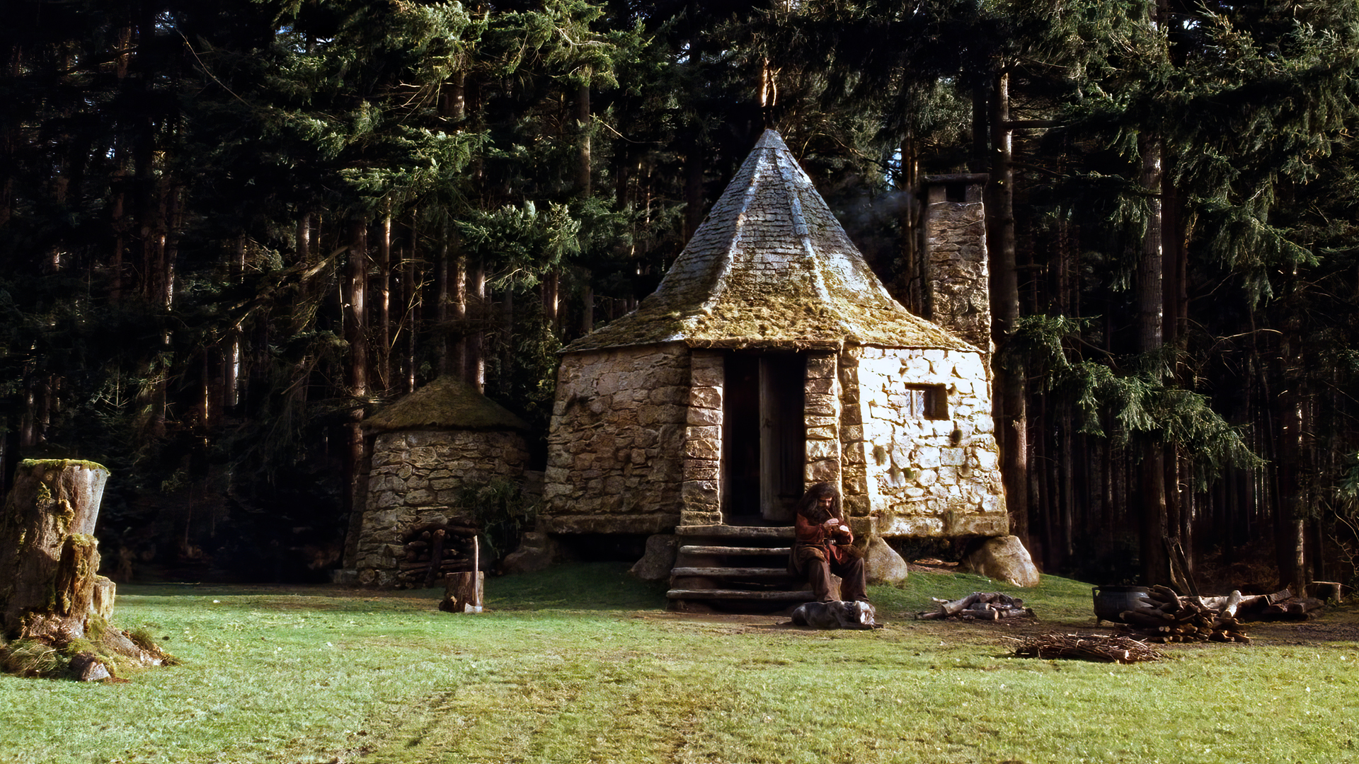 General 1920x1080 Harry Potter and the Sorcerer's Stone film stills movies Rubeus Hagrid Robbie Coltrane hut grass trees dog wood