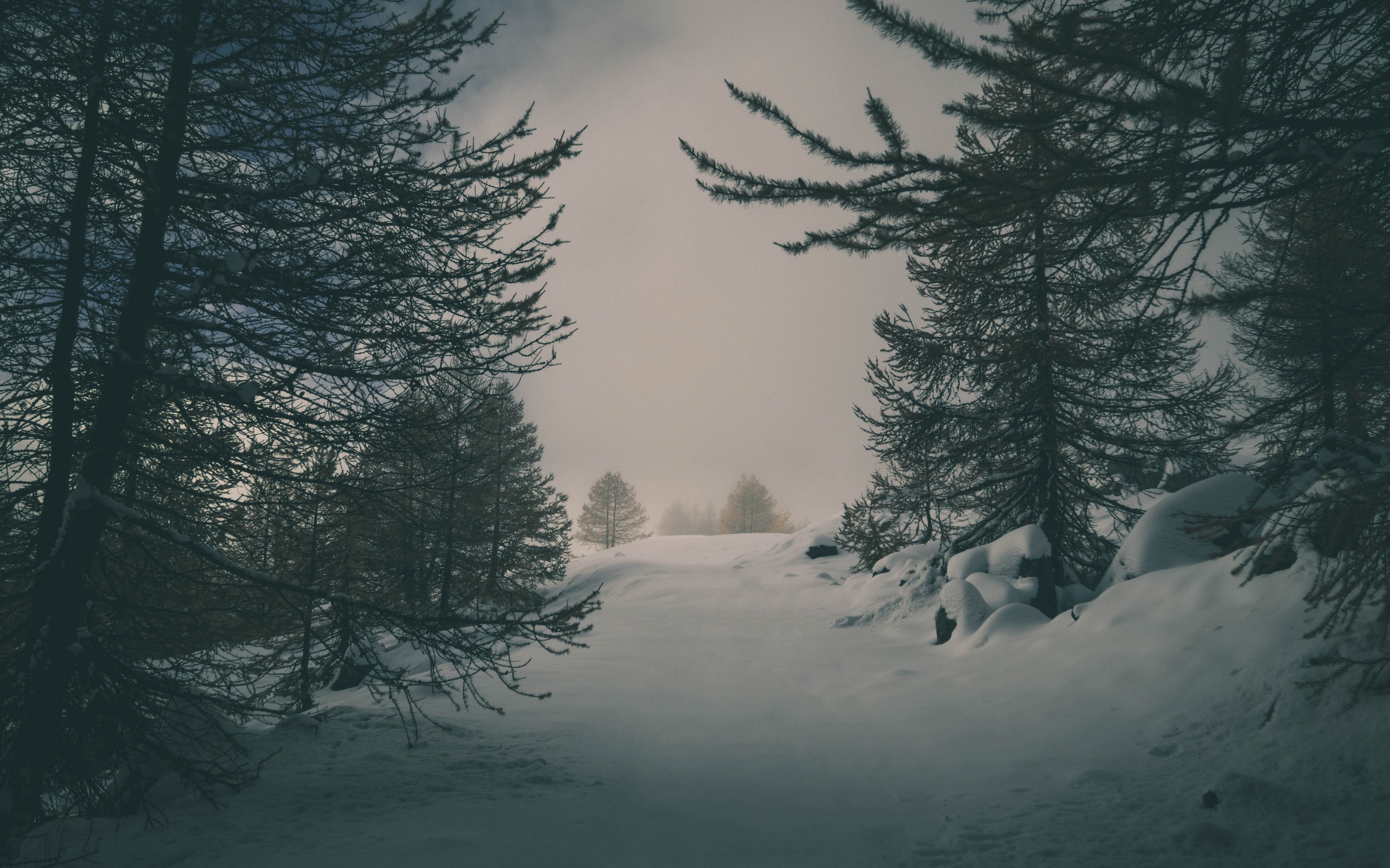 General 3840x2400 winter snow forest spruce mist cold calm photoshopped nature snow covered