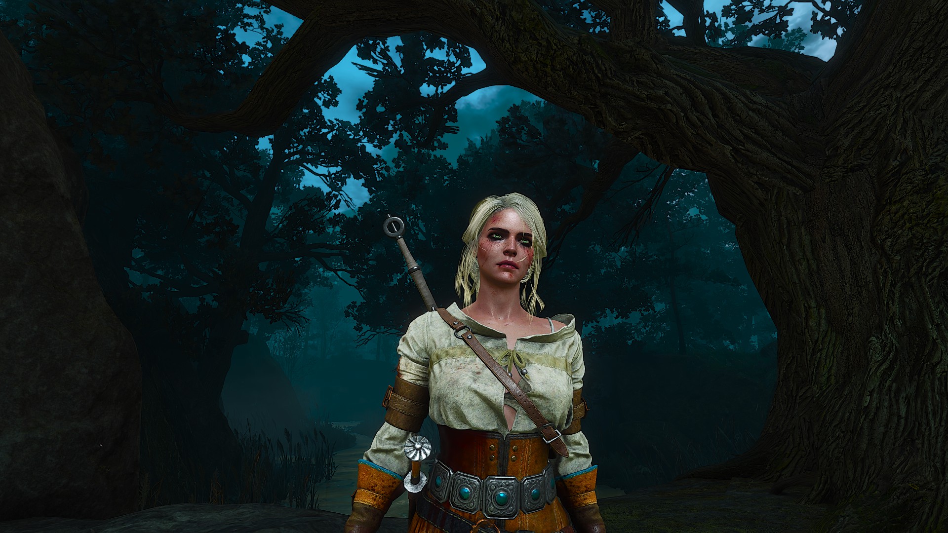 General 1920x1080 The Witcher 3: Wild Hunt - Blood and Wine Cirilla Fiona Elen Riannon screen shot video games video game characters video game girls Book characters CD Projekt RED