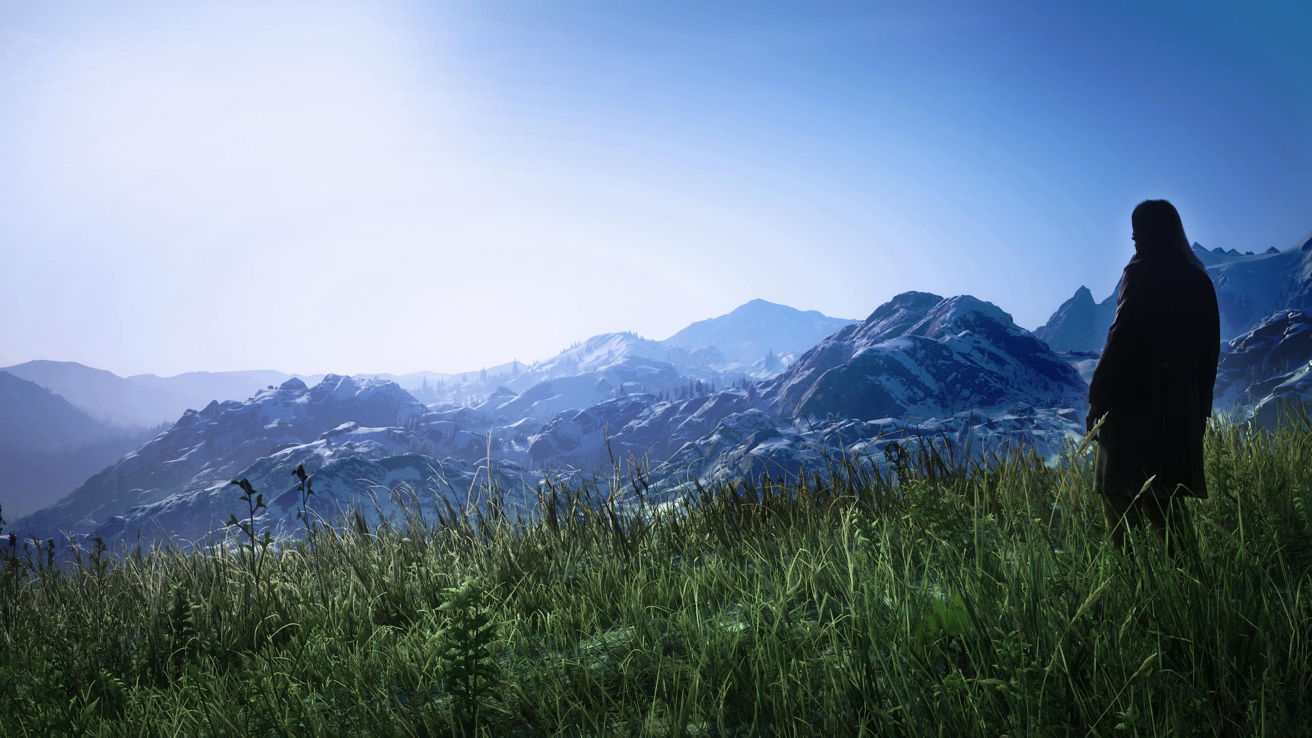 General 2560x1440 Red Dead Redemption 2 nature mountains forest video game art video games grass standing landscape sky CGI snow