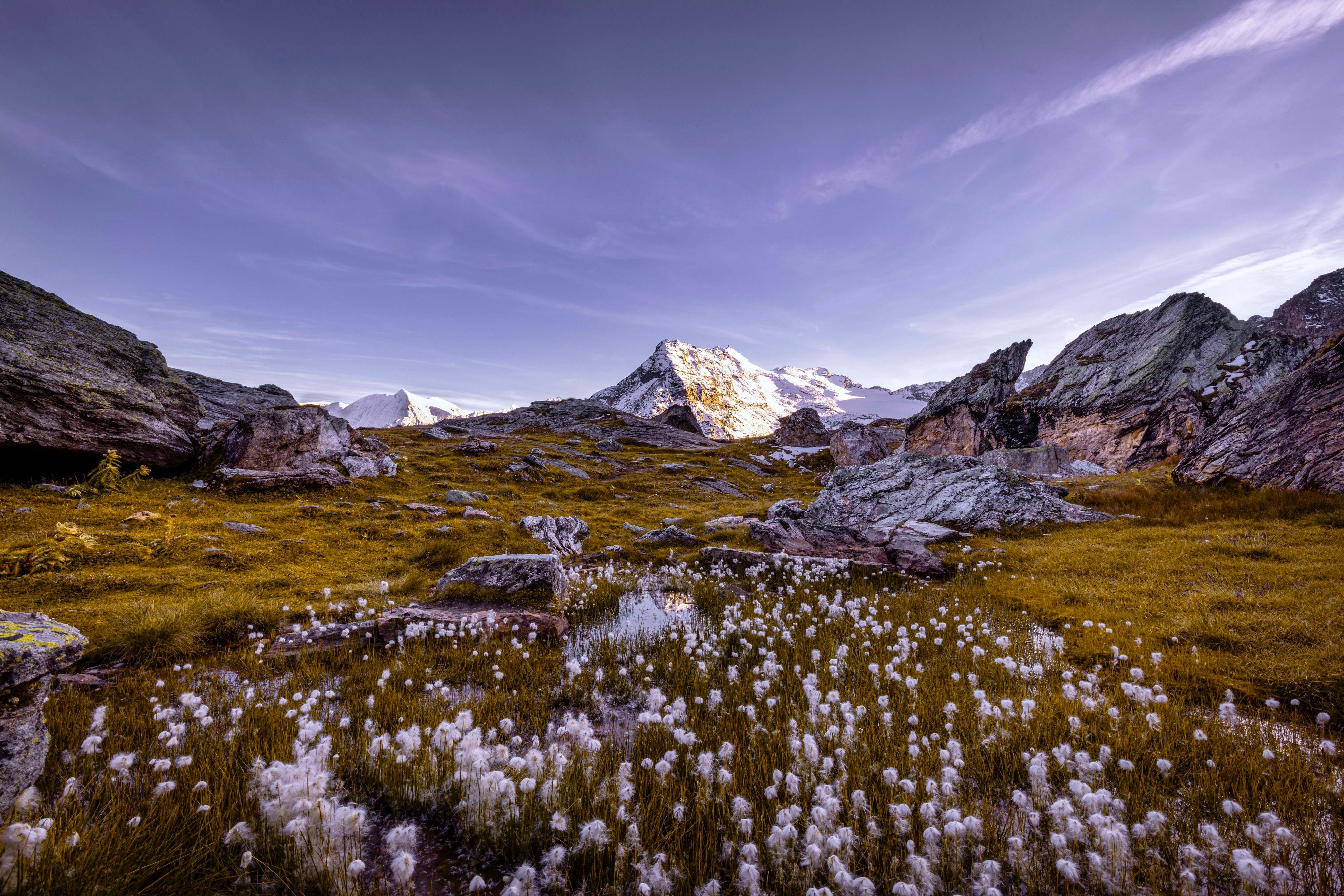 General 4000x2668 nature landscape plants grass mountains sky clouds rocks snow Cottongrass Swiss Alps Switzerland
