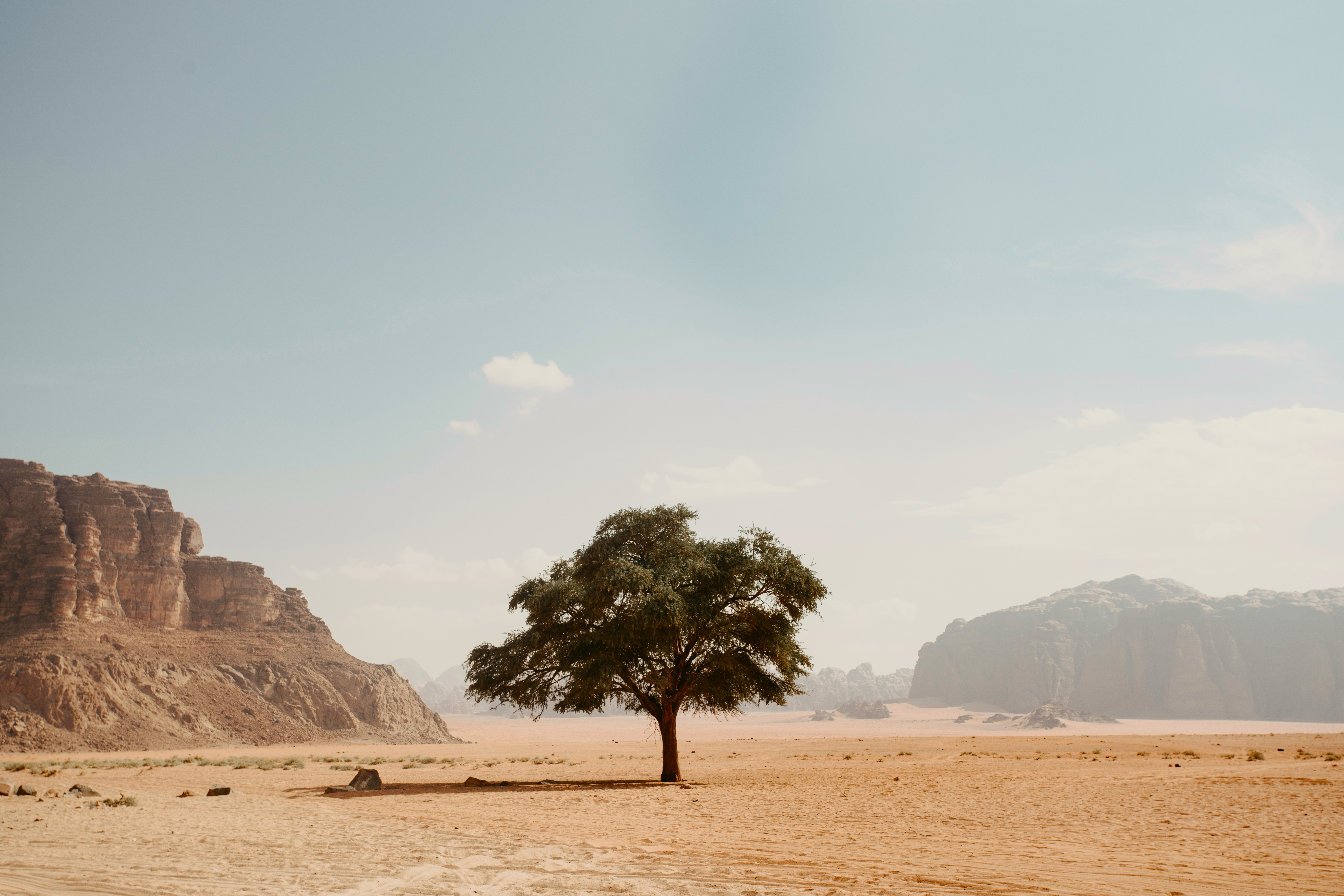 General 7952x5304 nature landscape sky clouds desert sand trees rocks mountains Wadi Rum Jordan (country)