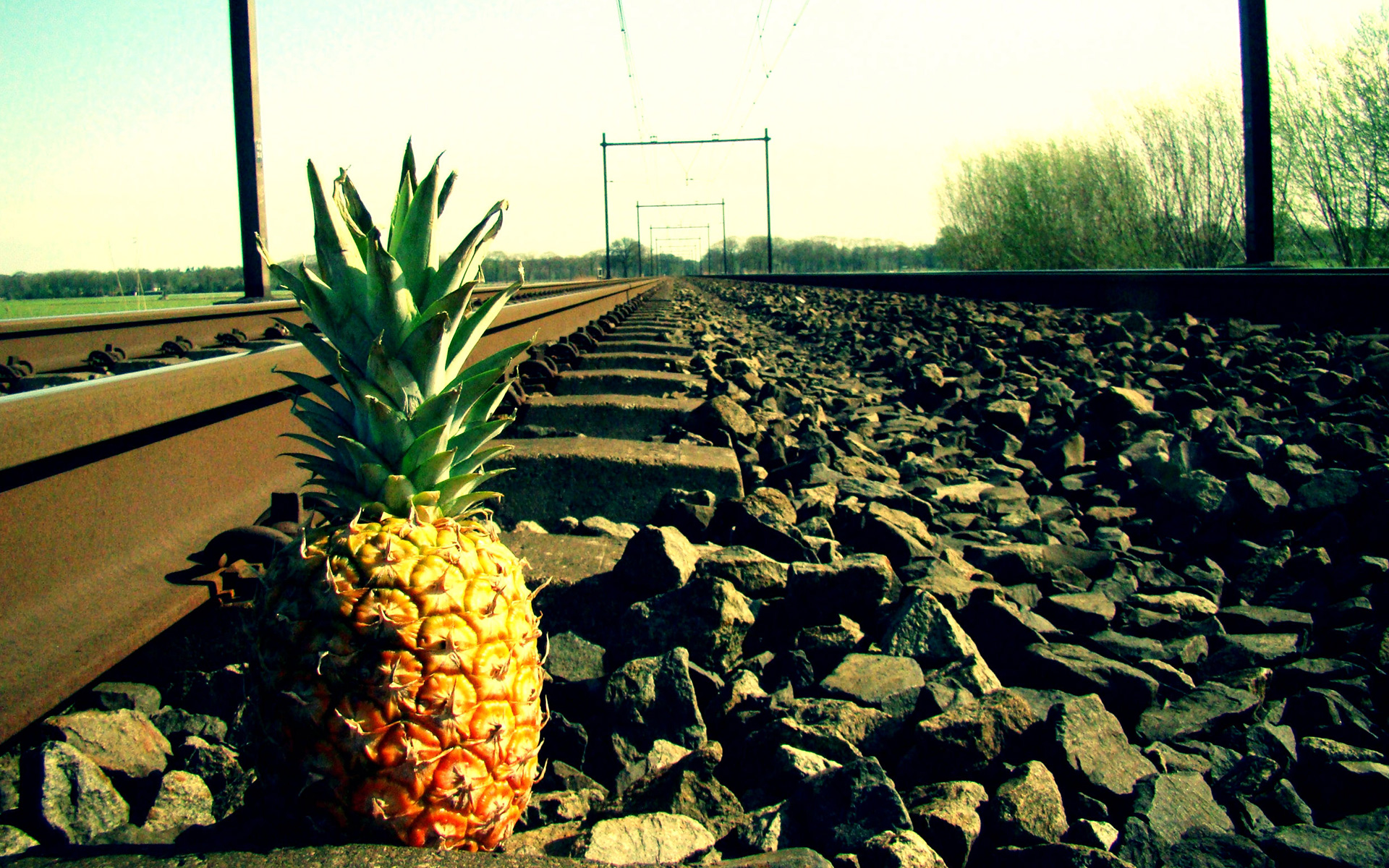 General 1920x1200 pineapples railway fruit stones food metal green outdoors
