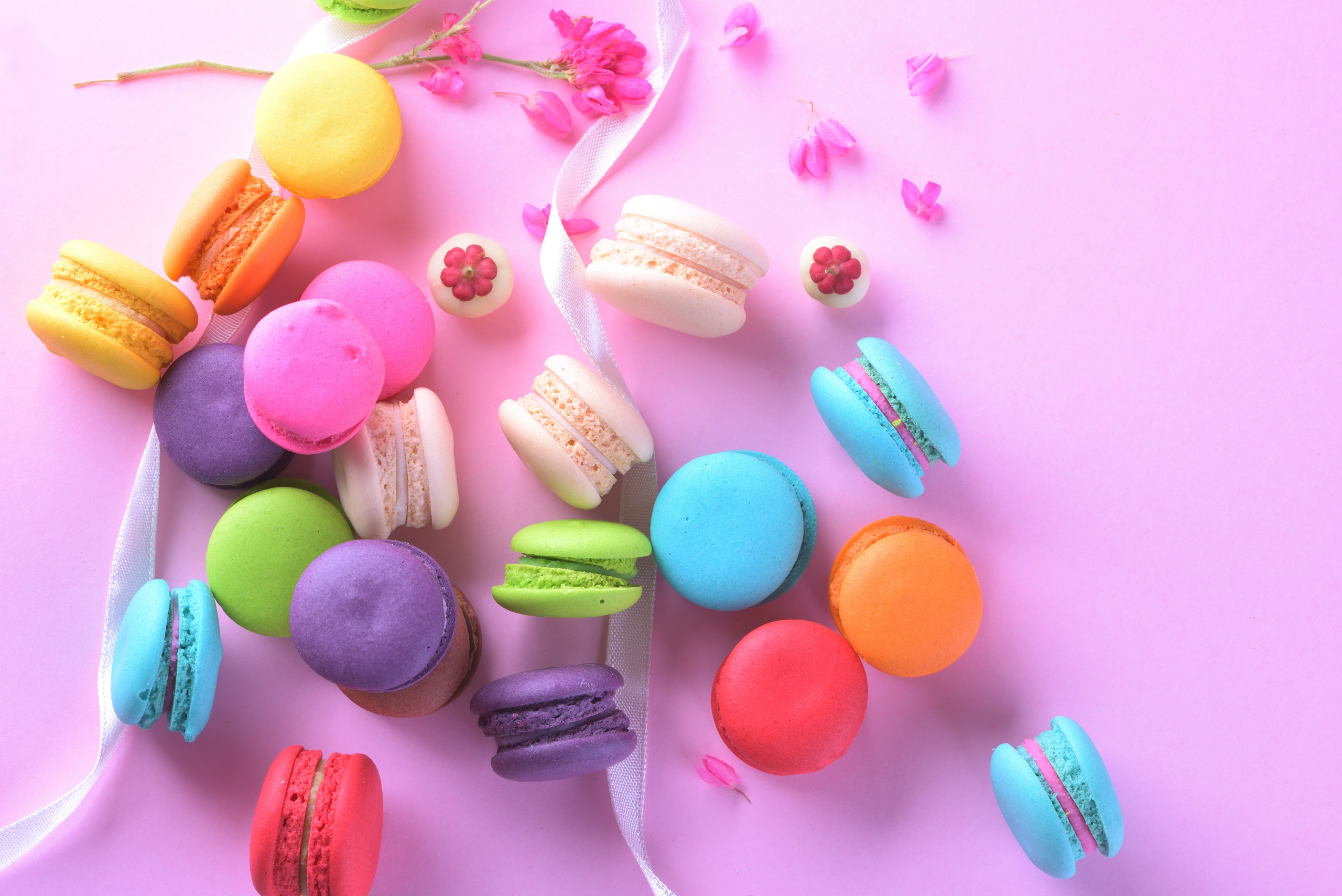 General 2560x1709 food sweets colorful macarons flowers petals ribbon cookies pink simple background