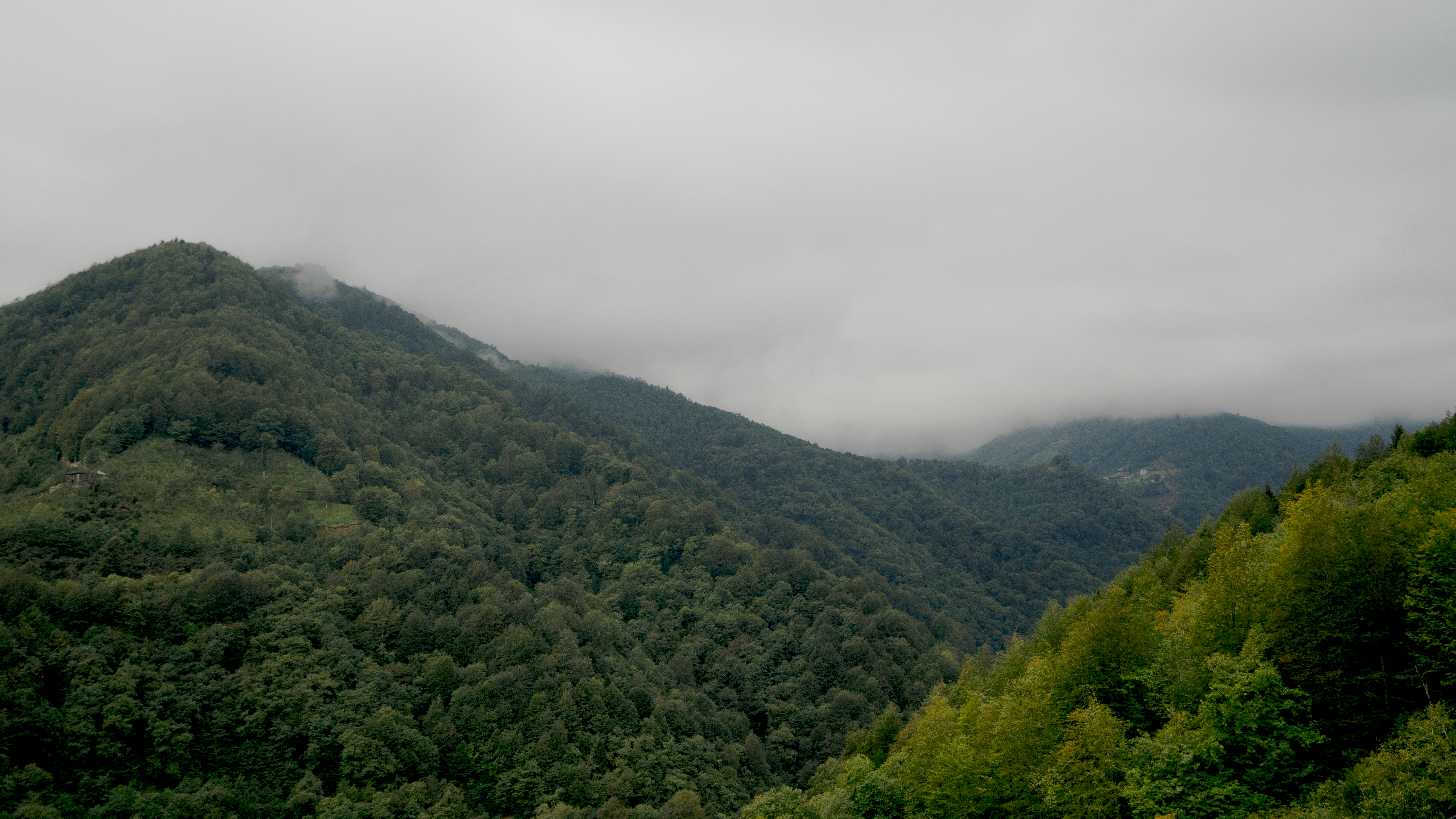 General 6000x3376 Trabzon Turkey nature forest mountains landscape mist