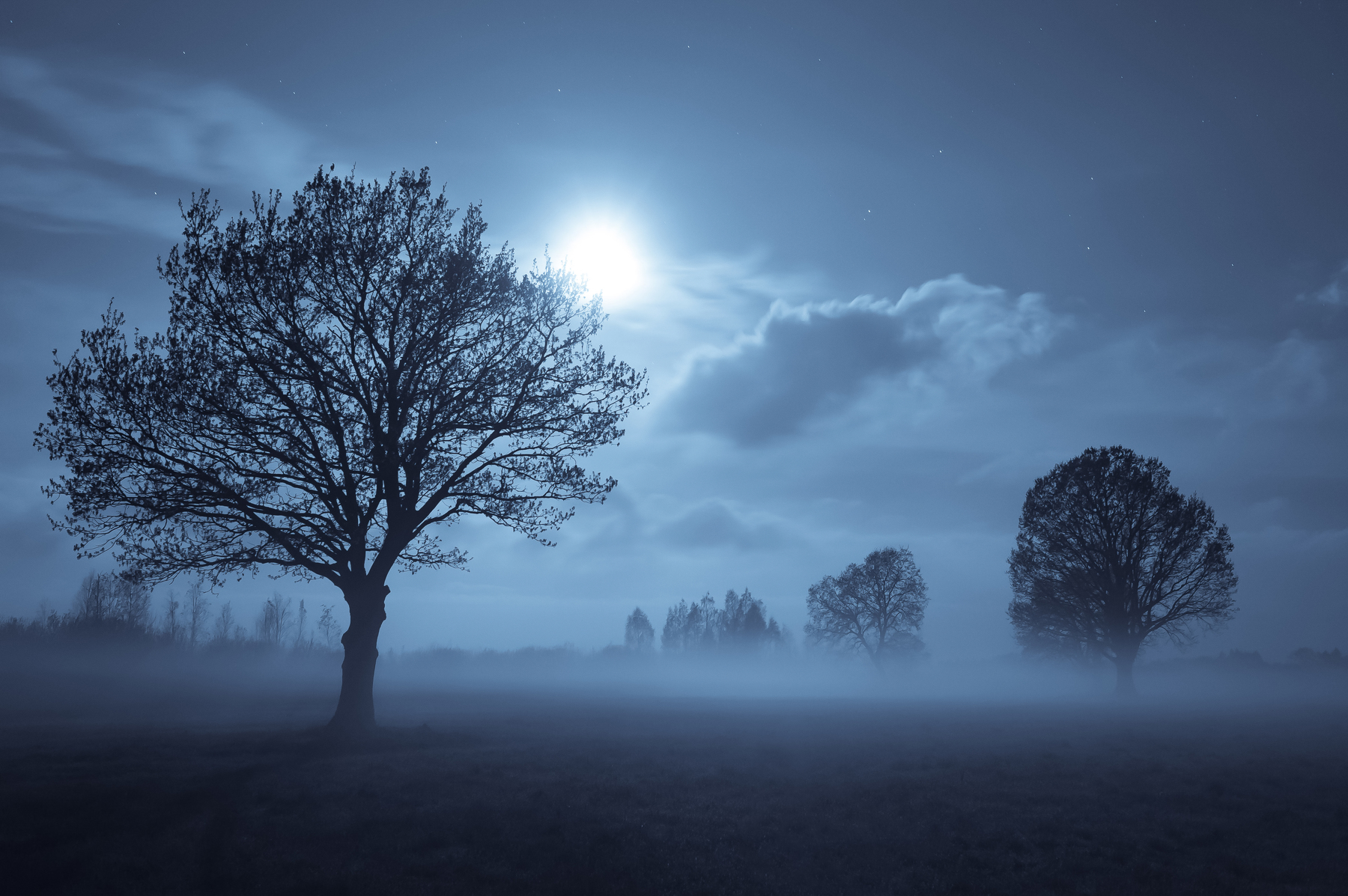General 1800x1197 Aleksandr Hvozd landscape night trees desolate Moon bright sky horizon mist stars