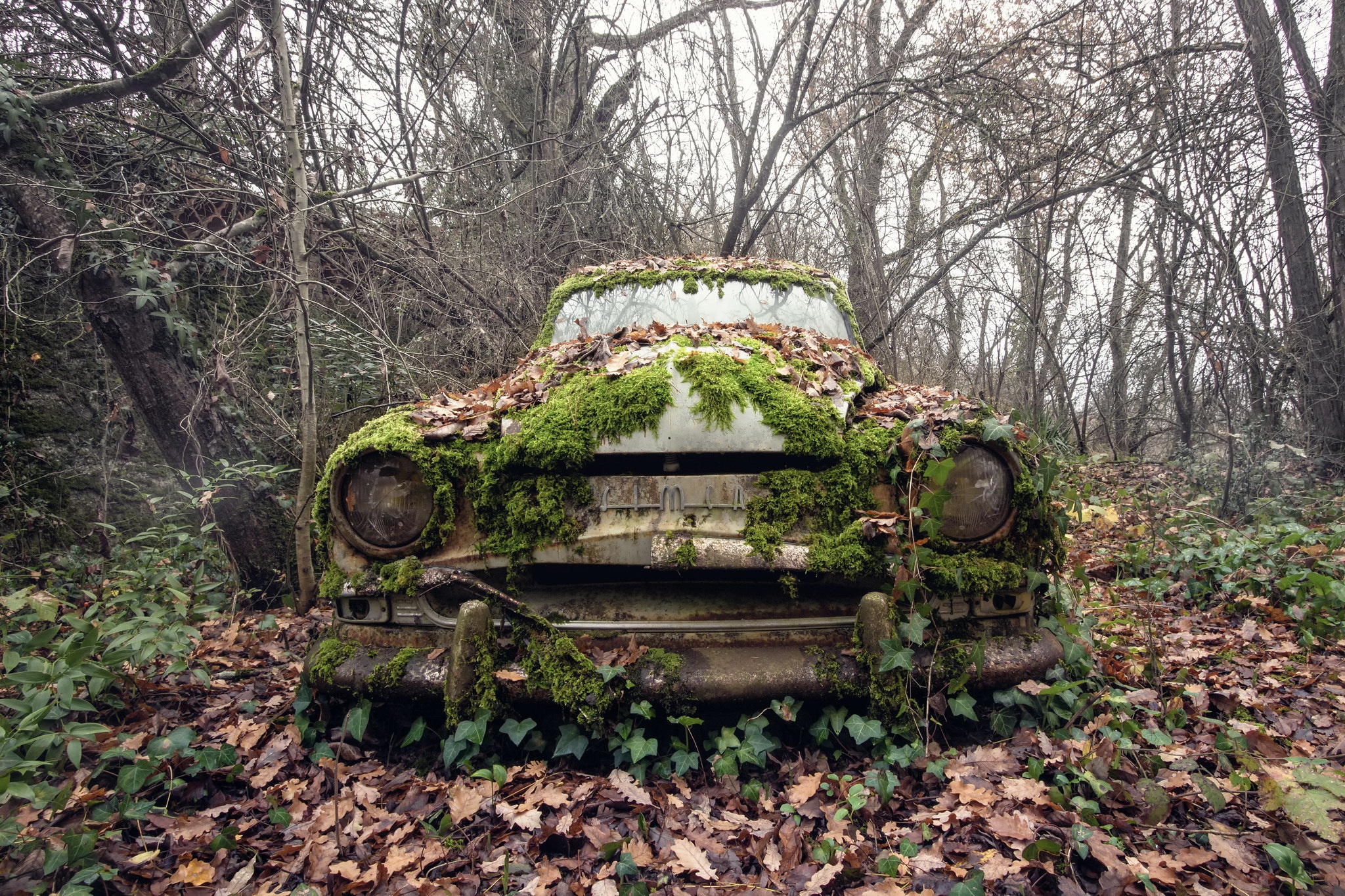 General 2048x1365 outdoors car vehicle wreck plants