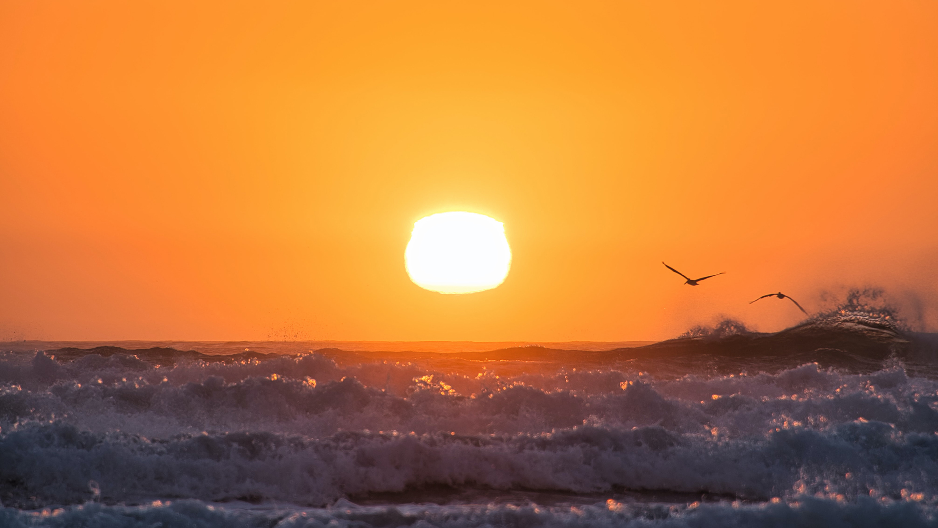 General 1920x1080 photography water waves sunset birds