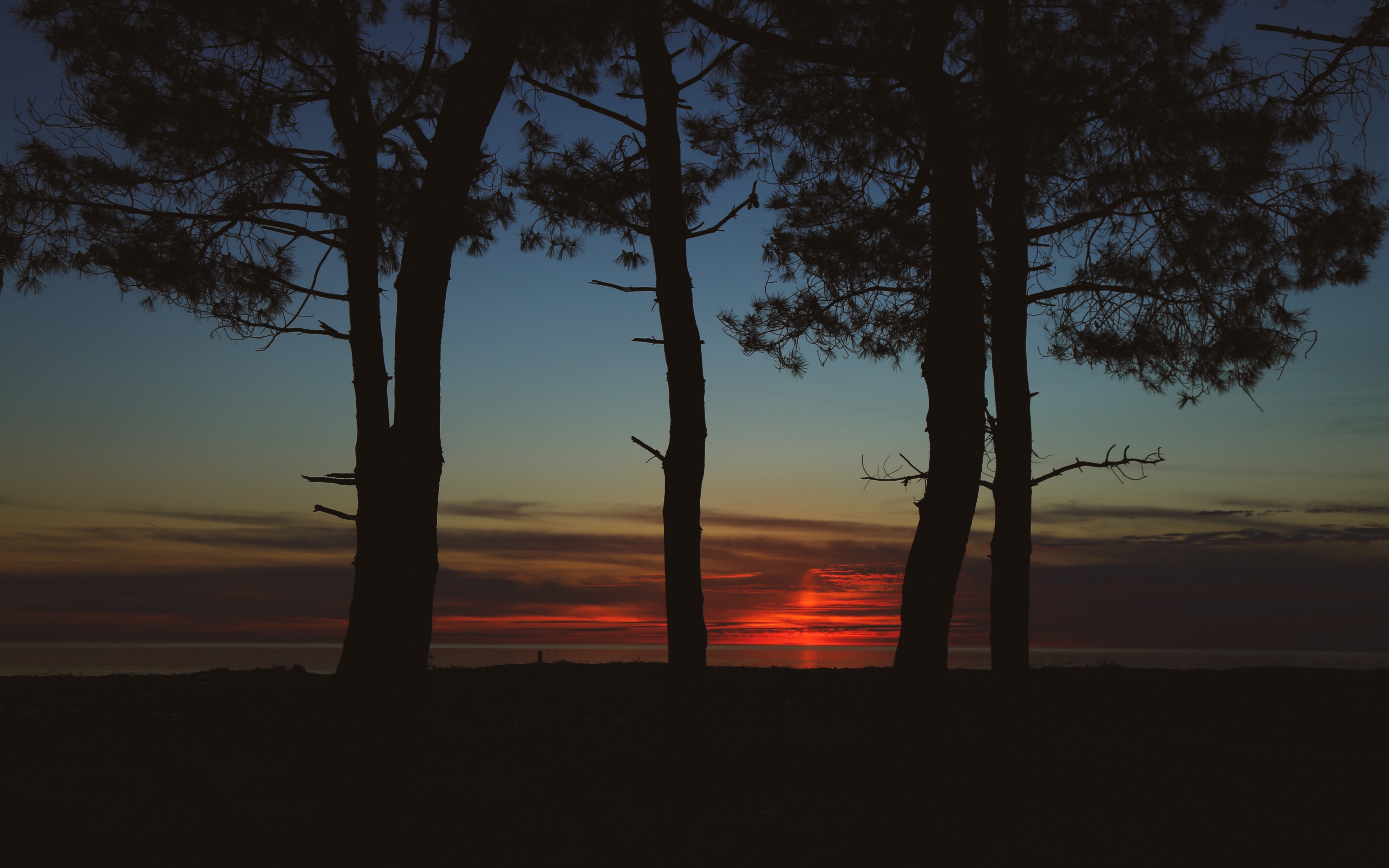 General 3840x2400 trees dark twilight sunset silhouette sea