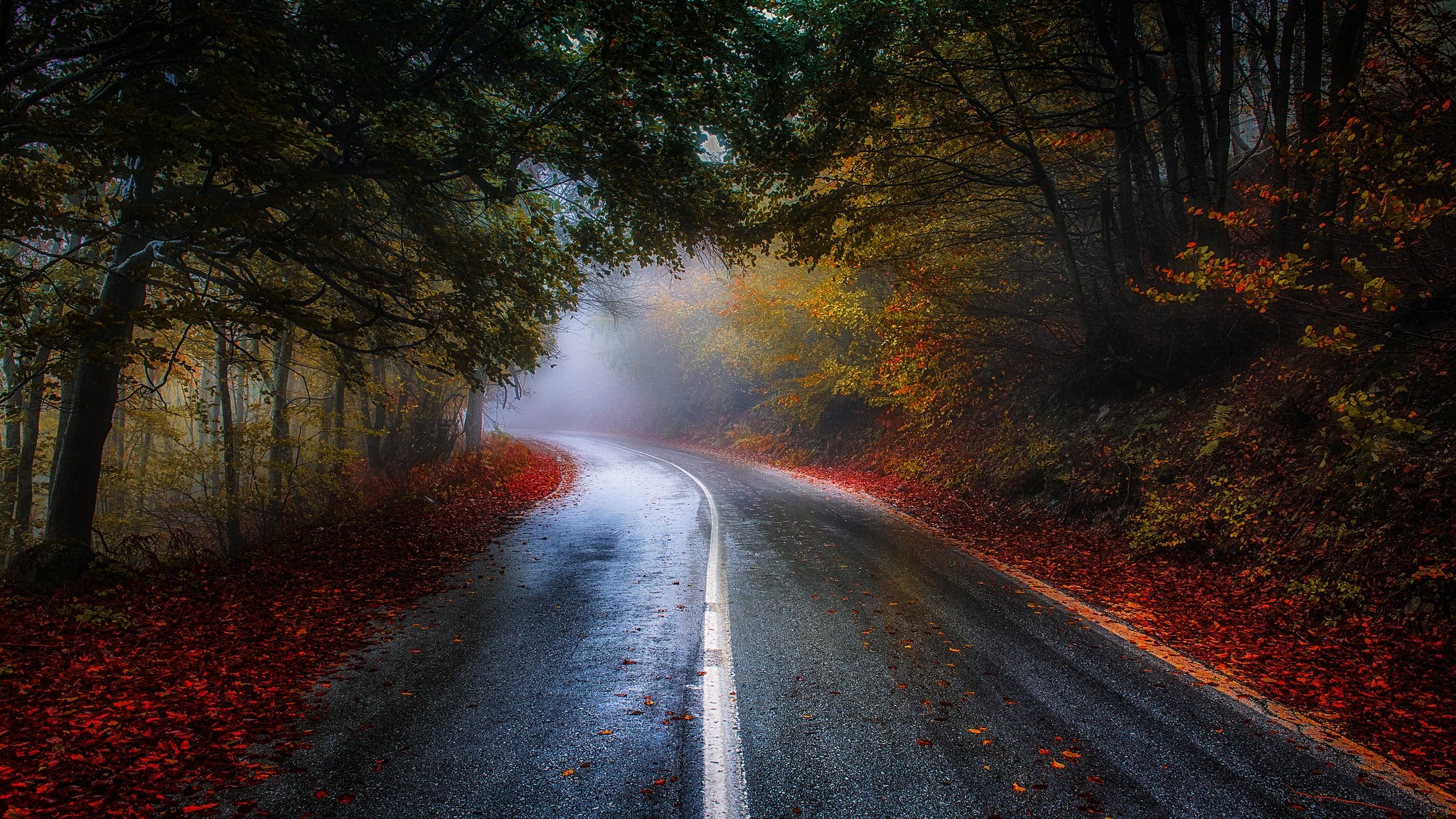General 2048x1152 nature photography road forest mist morning sunlight trees fall leaves red blue shrubs Greece asphalt