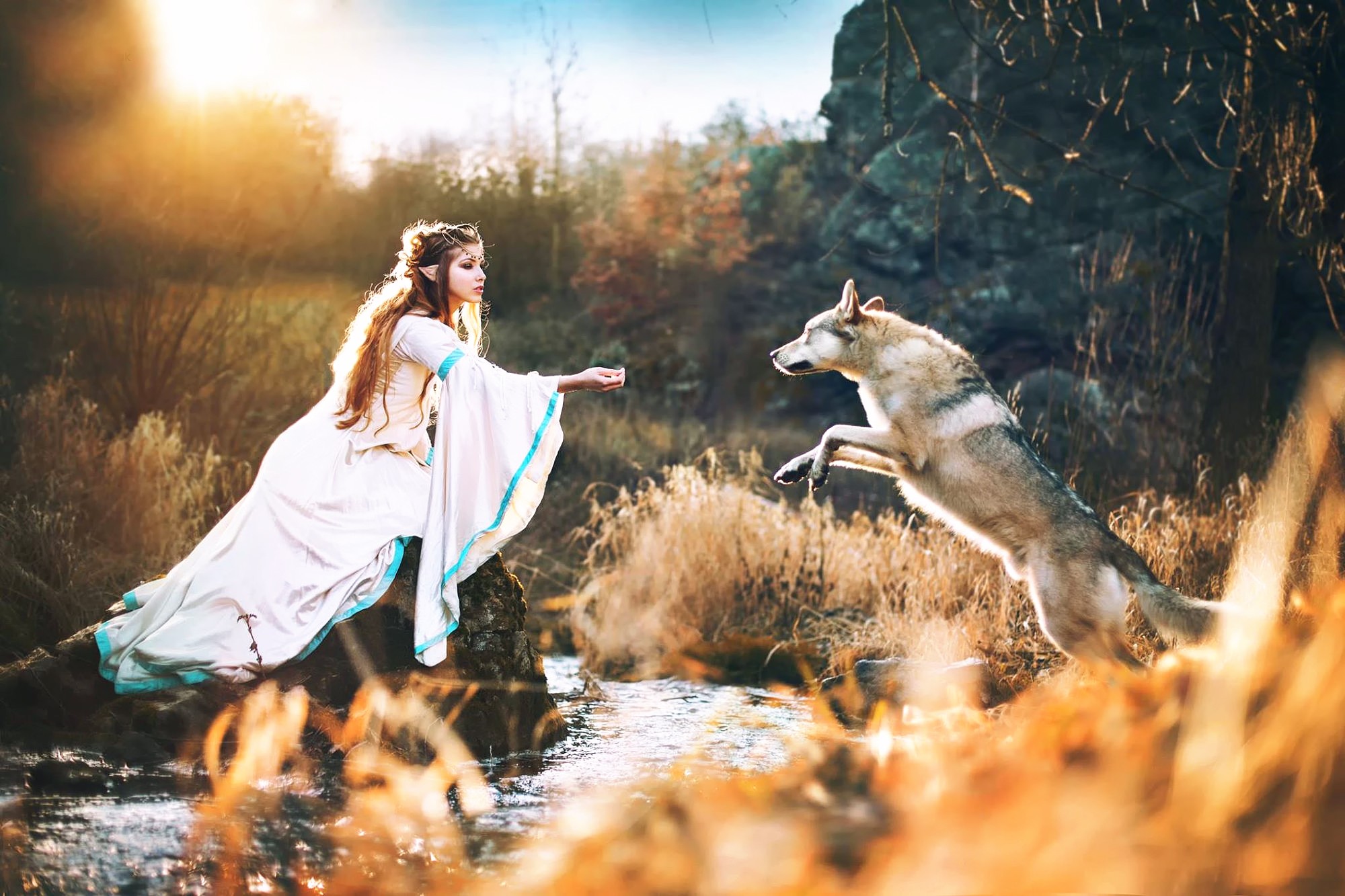 People 2000x1333 elves water stream dog women cosplay fantasy girl model animals long hair women outdoors pointy ears
