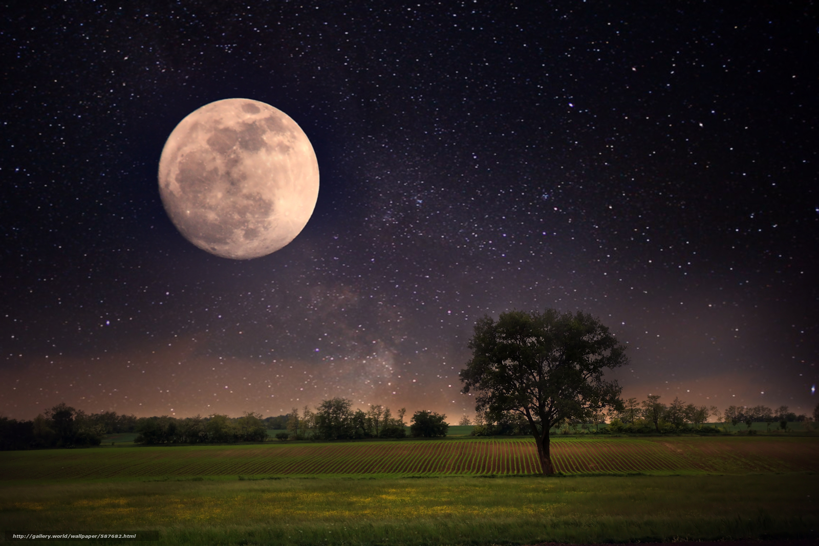 General 1600x1067 natural light landscape Moon night field