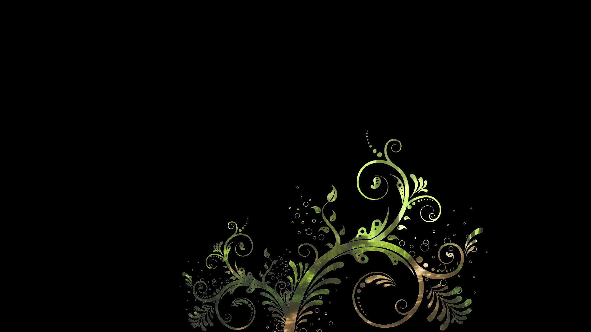 General 1920x1080 floral black background minimalism abstract plants simple background