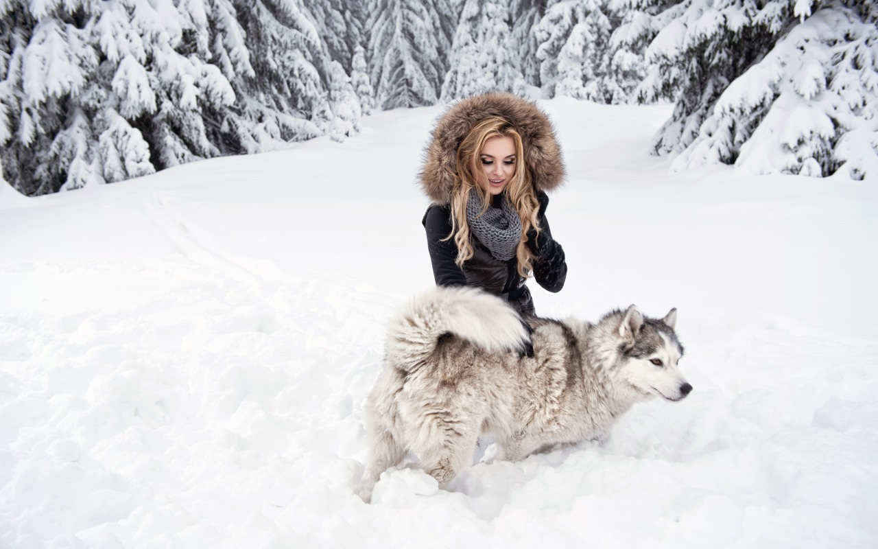 People 1280x800 blonde women outdoors dog hoods women outdoors black coat long hair winter snow nature curly hair women with dogs coats scarf