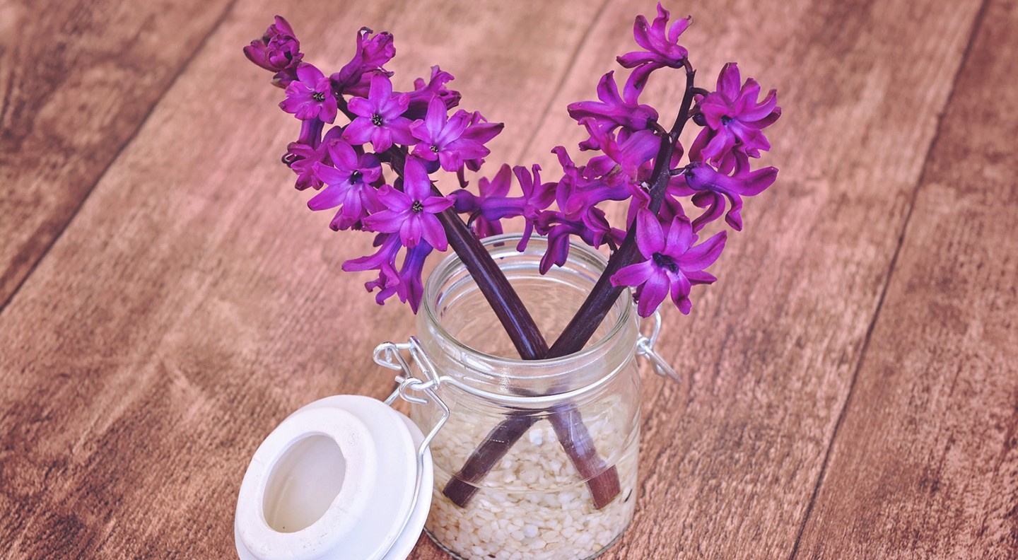General 1440x792 purple flowers wooden surface vases petals plants flowers