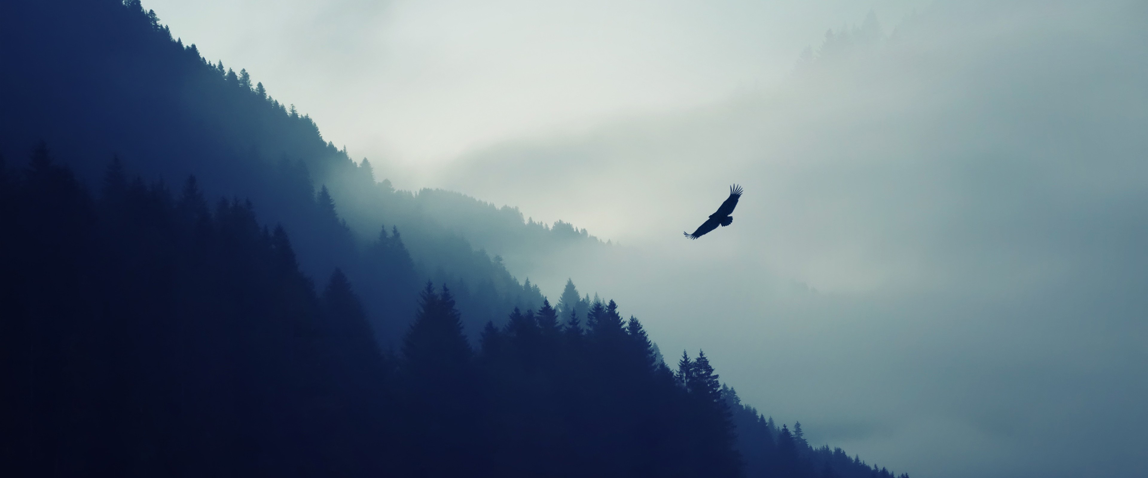 General 3840x1600 birds mountains nature animals trees