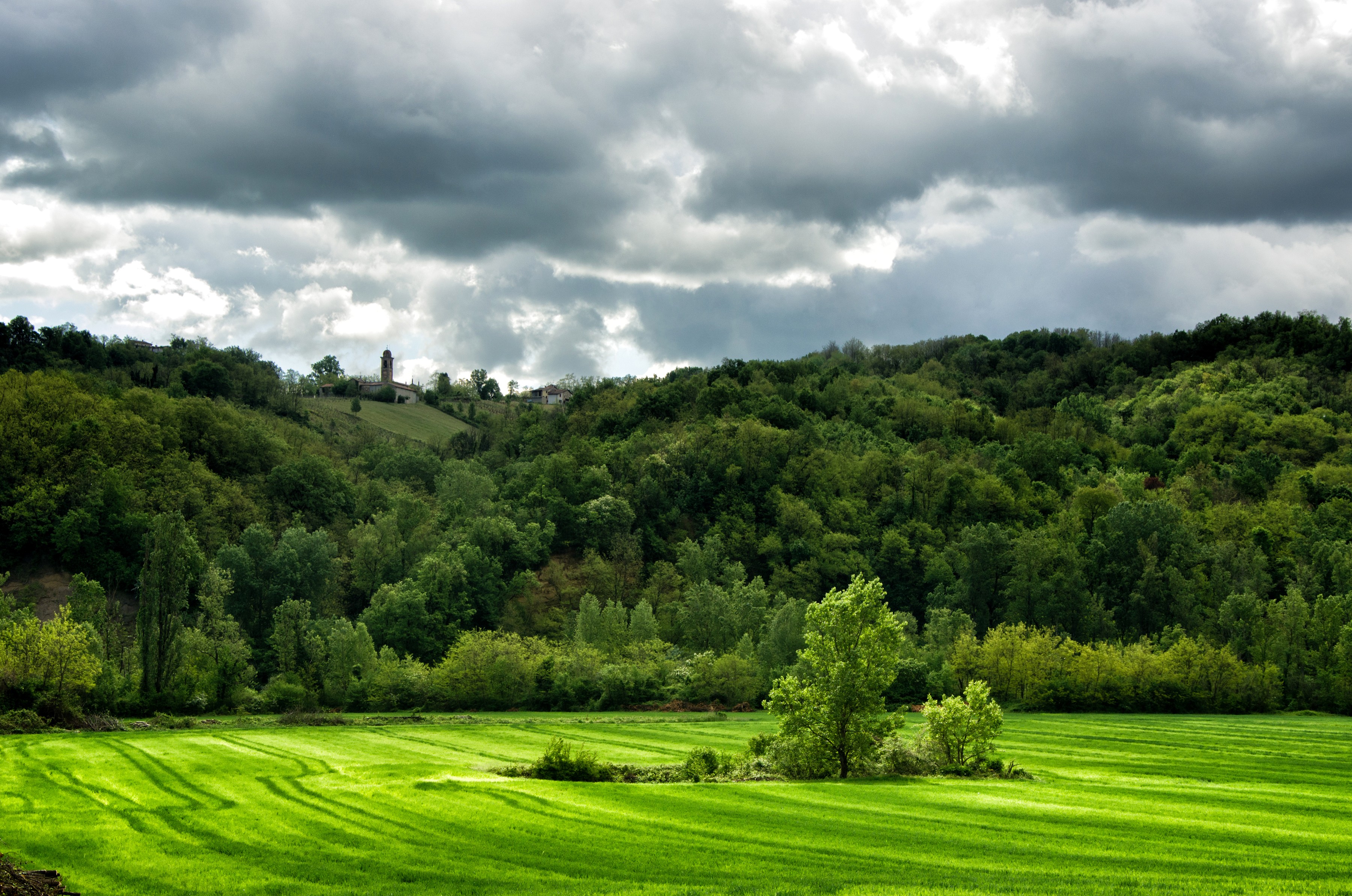 General 3600x2385 landscape forest Italy field green hills