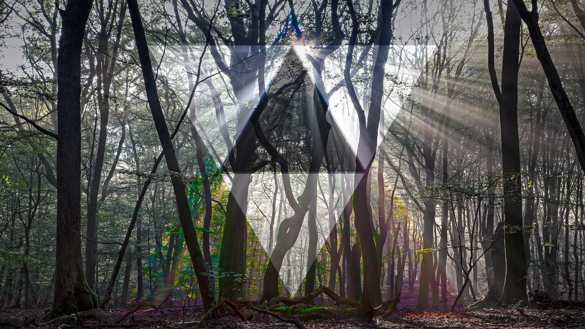 General 1920x1080 photo manipulation polyscape photography geometry forest sunlight