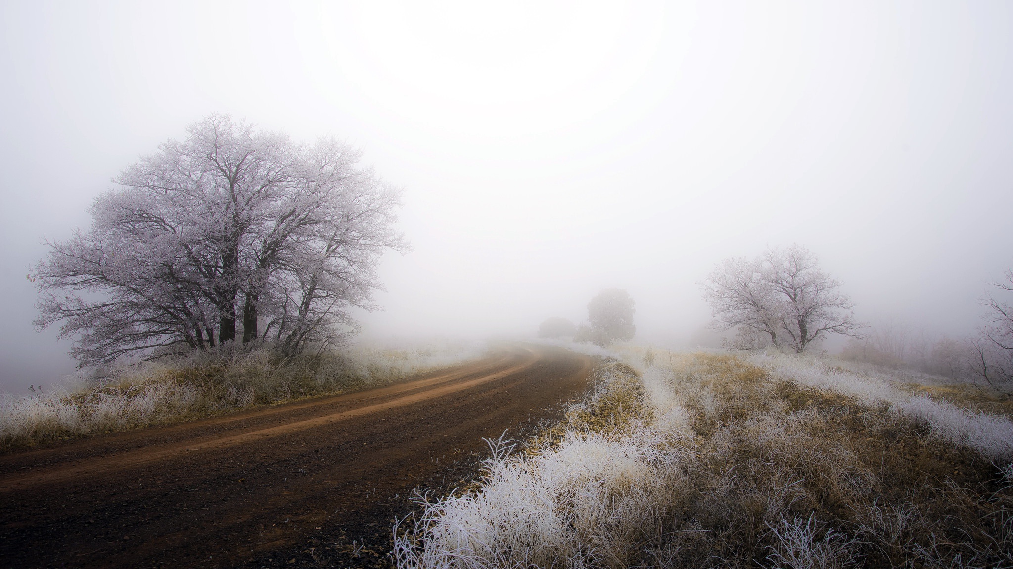 General 2048x1152 landscape dirt road winter mist frost