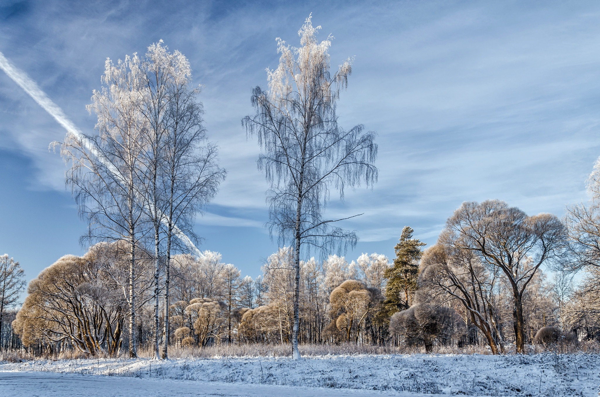 General 2048x1356 nature winter trees snow contrails