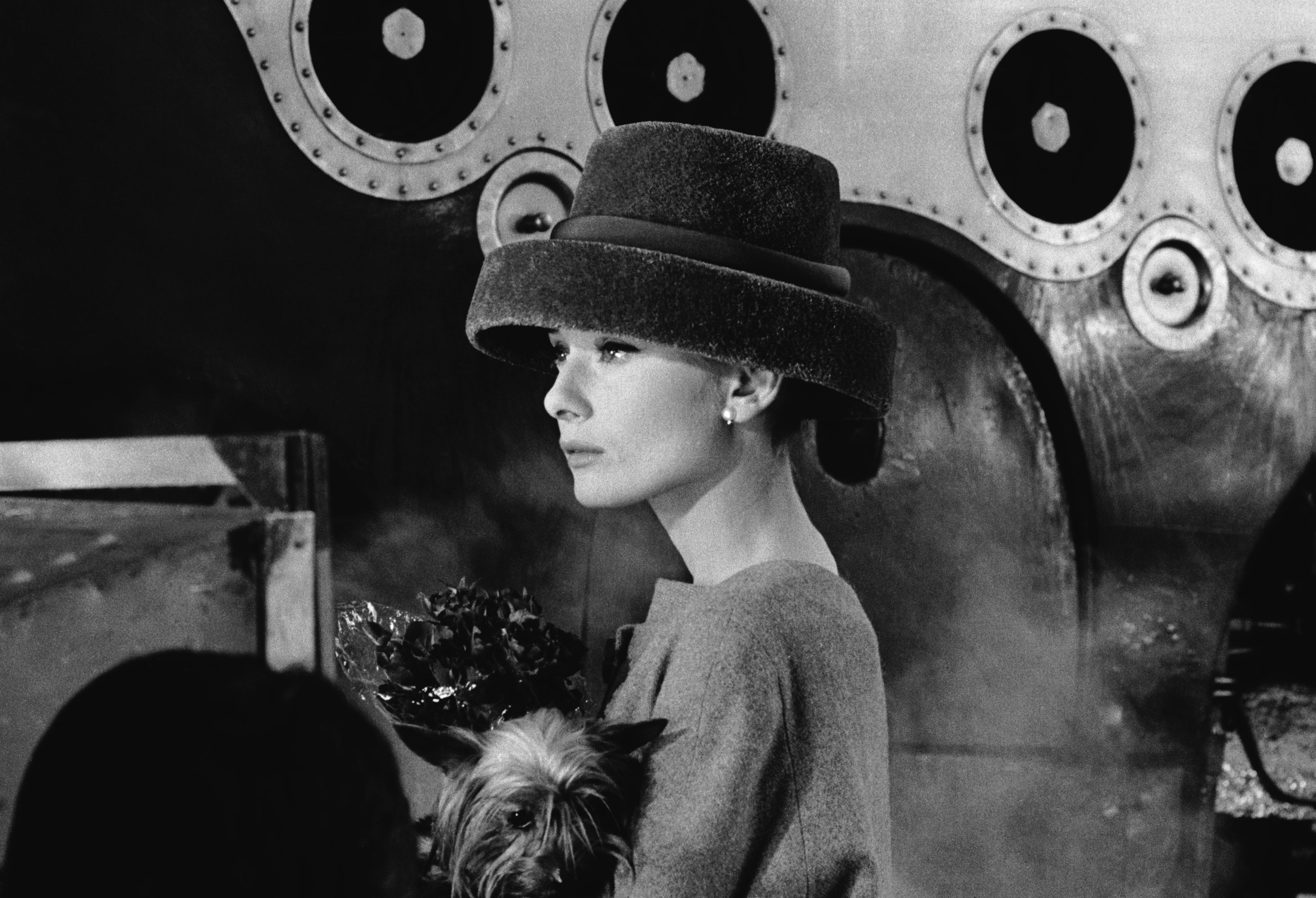 People 4500x3072 Audrey Hepburn monochrome women actress dog