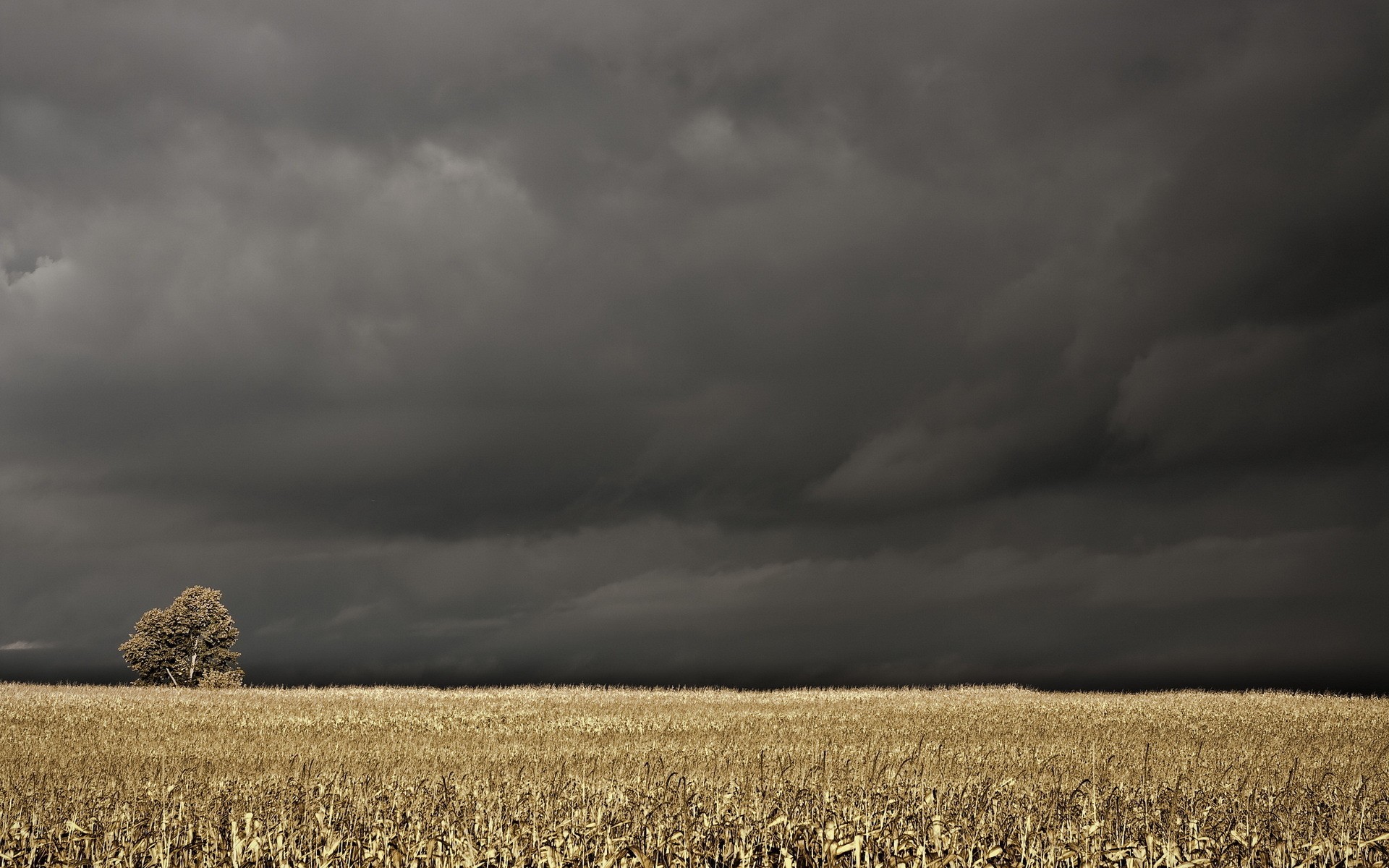 General 1920x1200 landscape field dark clouds gloomy overcast depressing Agro (Plants) sky