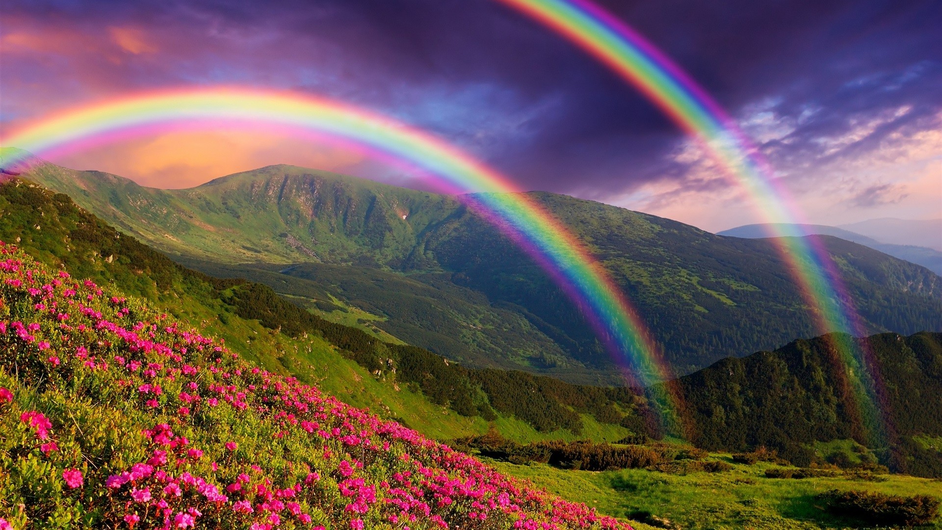 General 1920x1080 nature rainbows flowers landscape mountains plants colorful sky