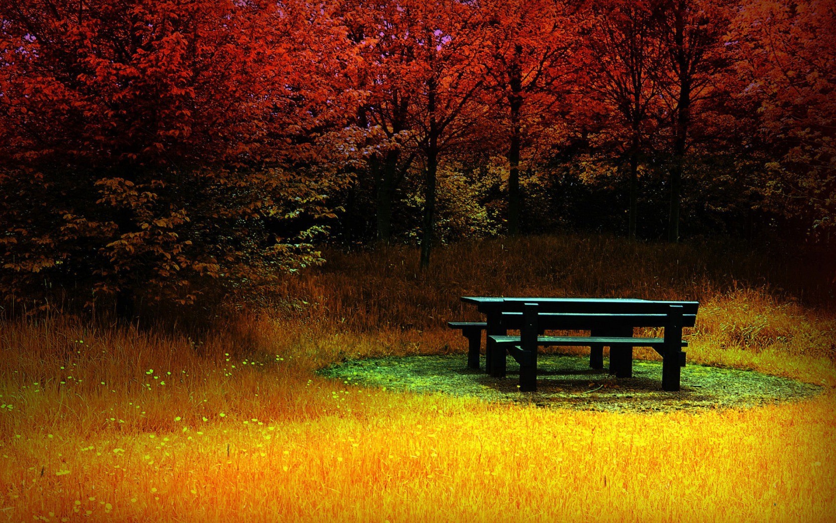 General 1680x1050 fall trees bench colorful park outdoors