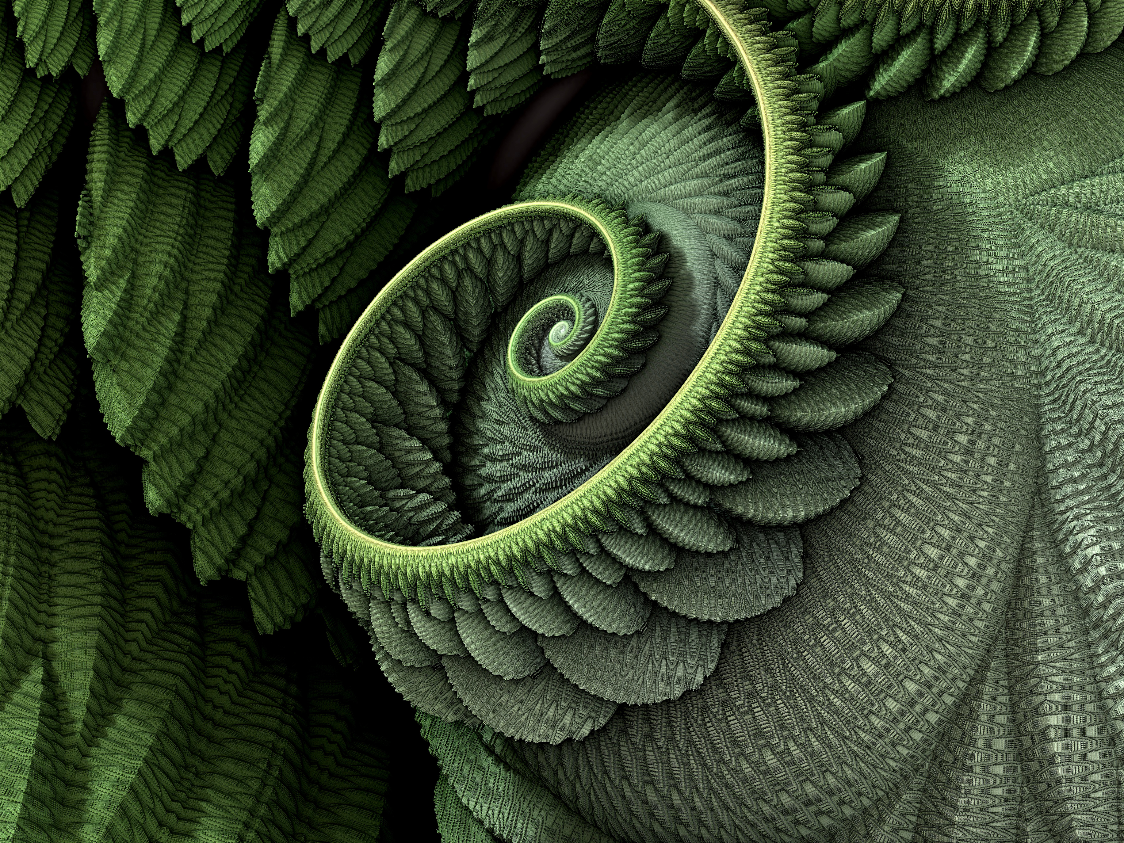 General 3666x2750 abstract CGI fractal spiral closeup green pattern detailed