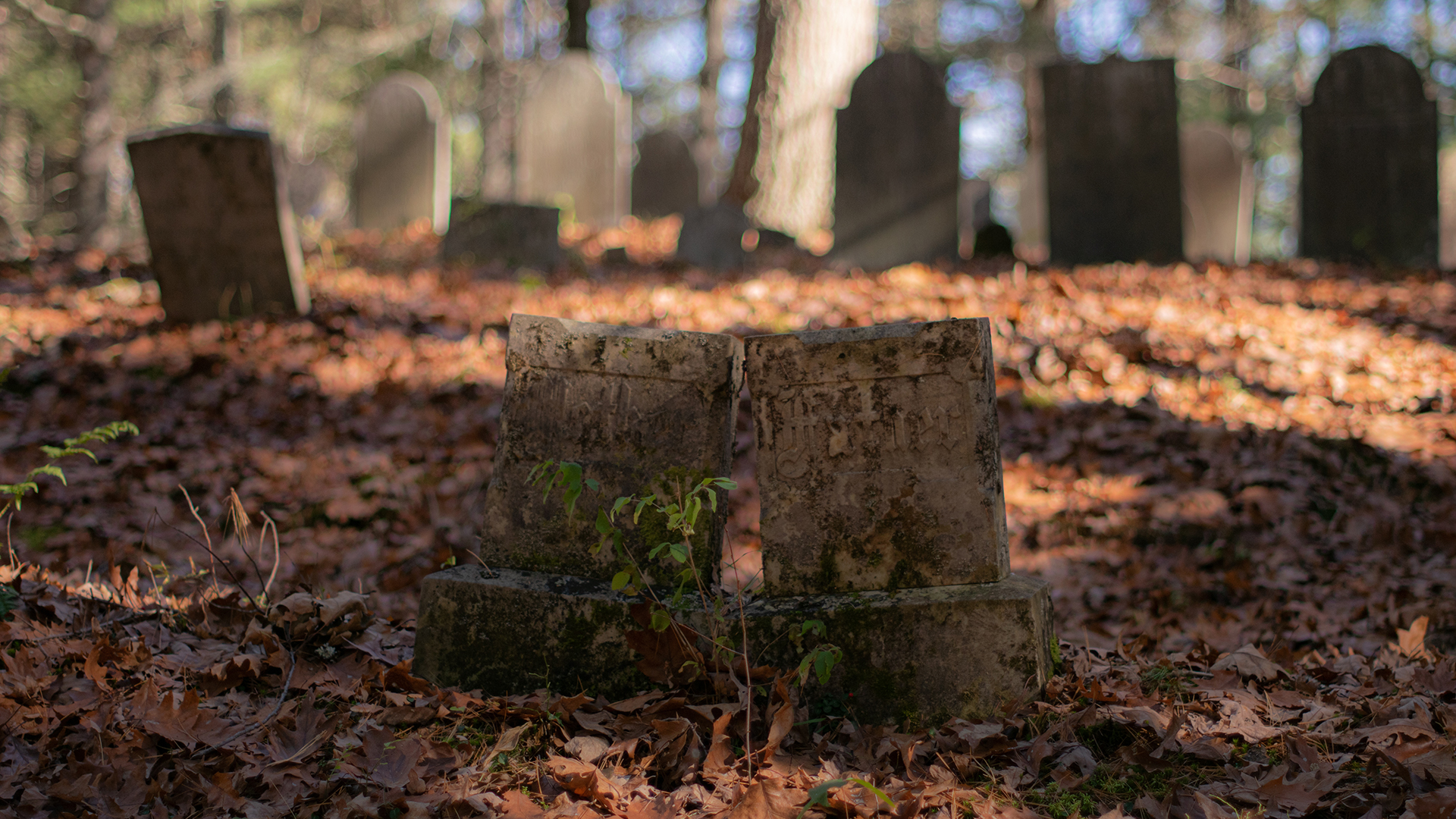 General 1920x1080 graveyards grave tombstones fall fallen leaves bokeh