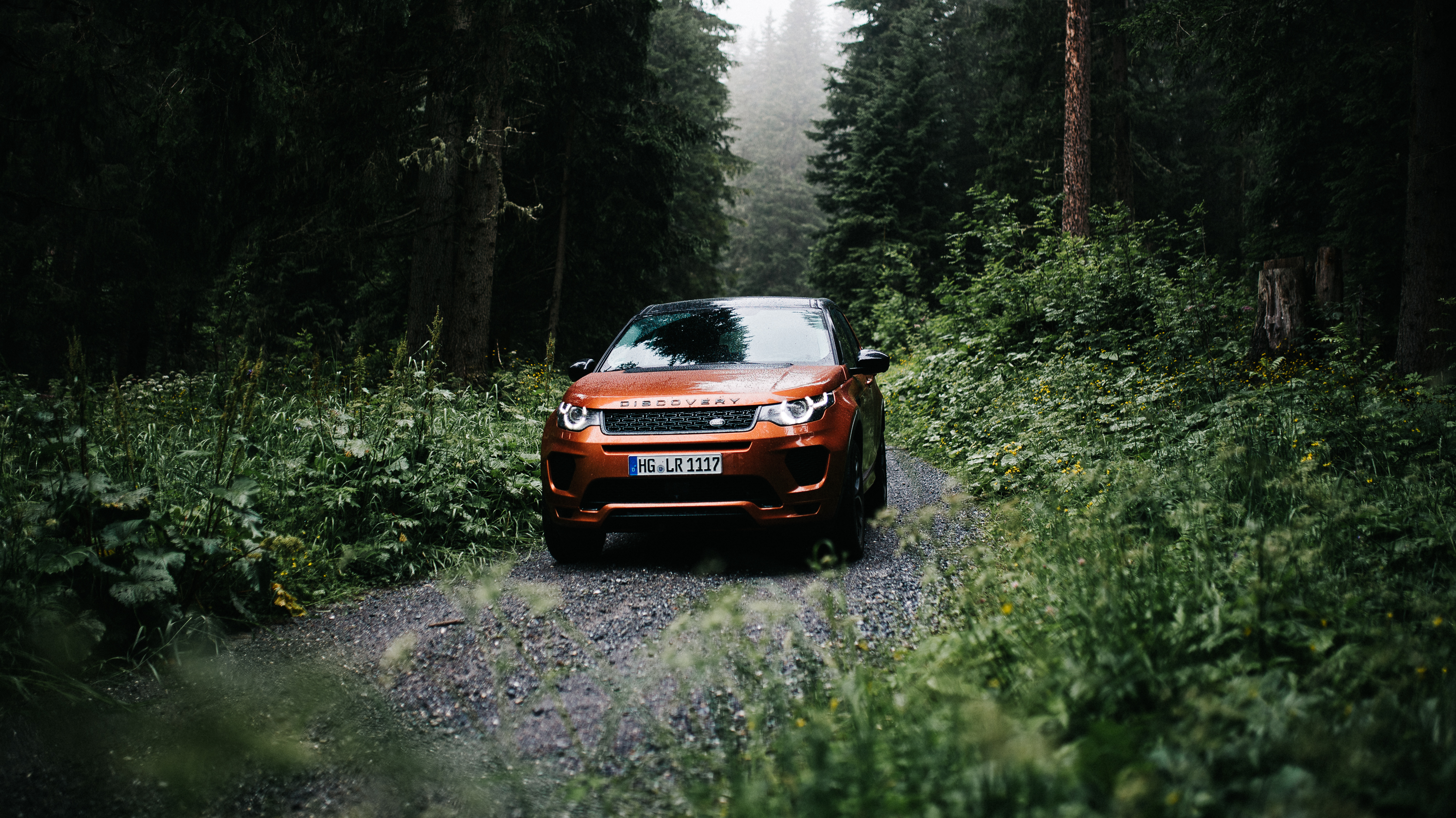 General 3000x1687 vehicle Land Rover car landscape forest tree bark road trees Land Rover Discovery