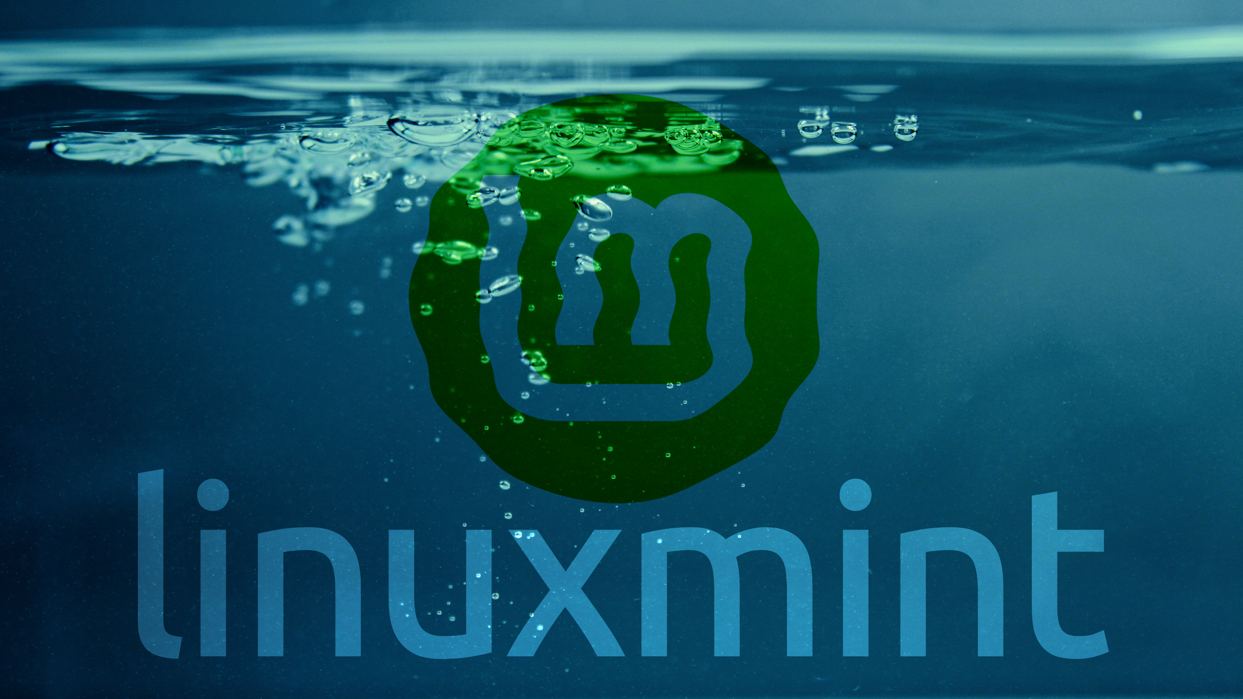 General 2560x1440 Linux Linux Mint water simple background operating system