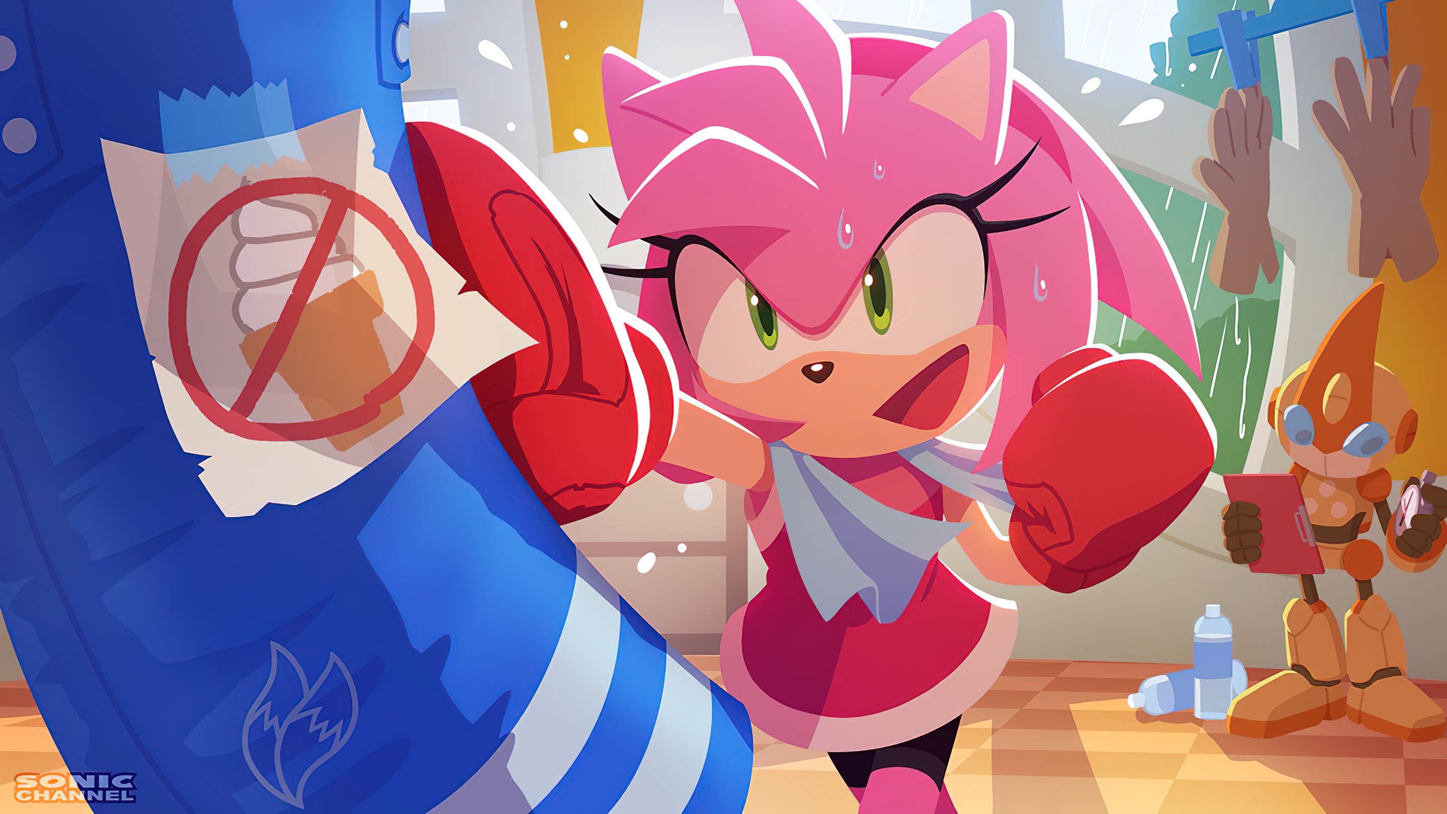 General 2880x1620 Sonic video game art Amy Rose punching bag boxing Yui Karasuno Sonic the Hedgehog sport comic art PC gaming Anthro video game characters artwork video games boxing gloves