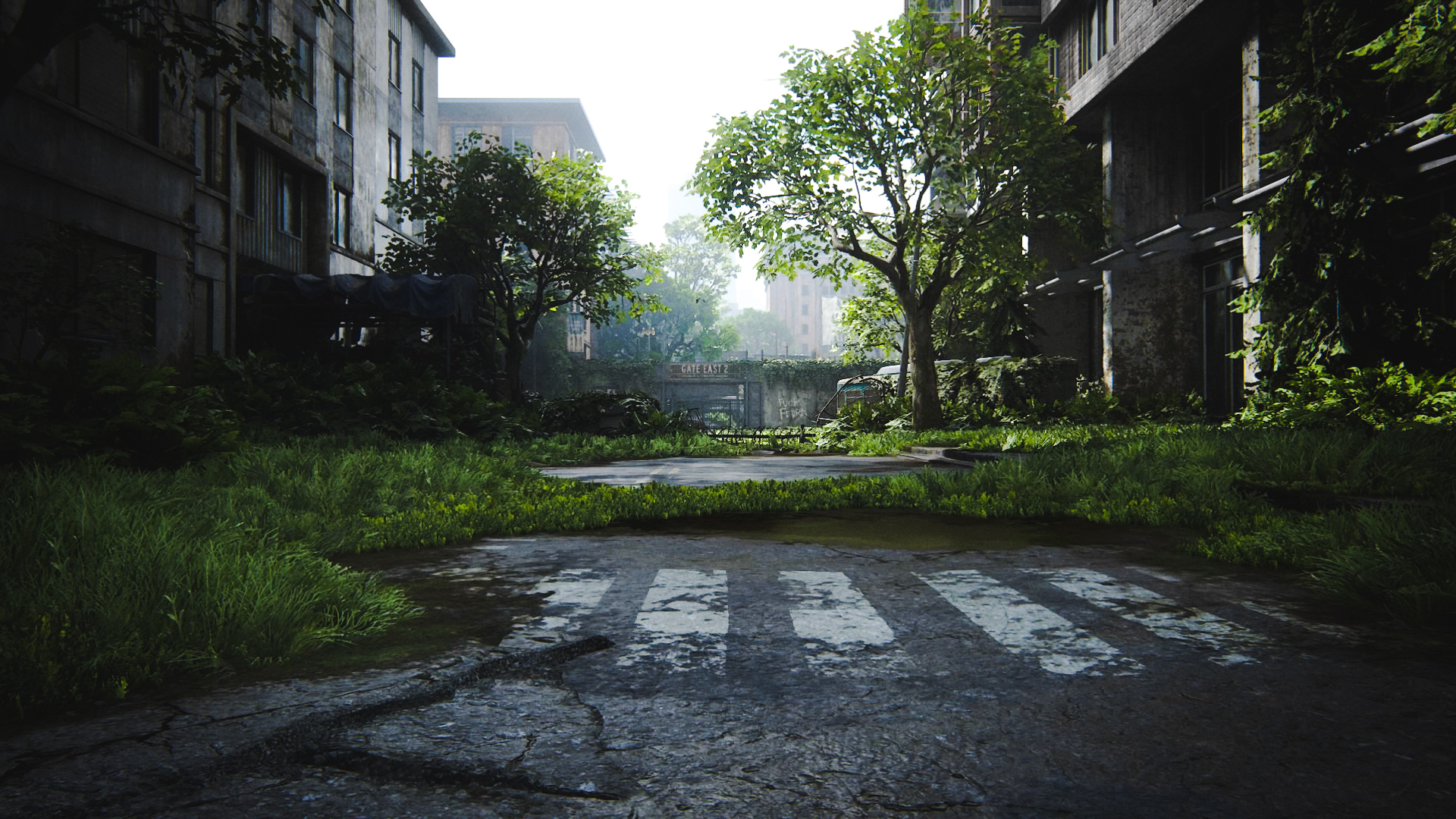 General 1920x1080 The Last of Us The Last of Us 2 nature