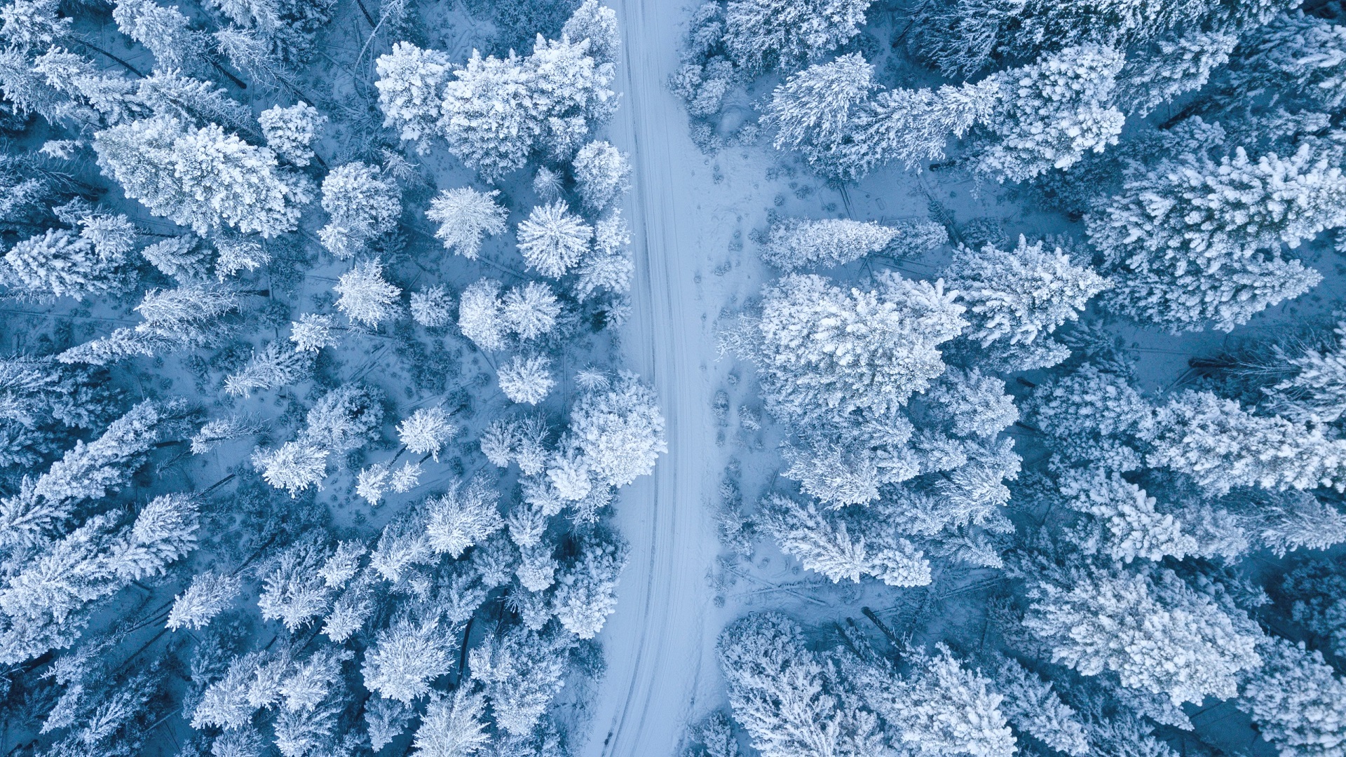General 1920x1080 nature snow trees forest winter aerial view road