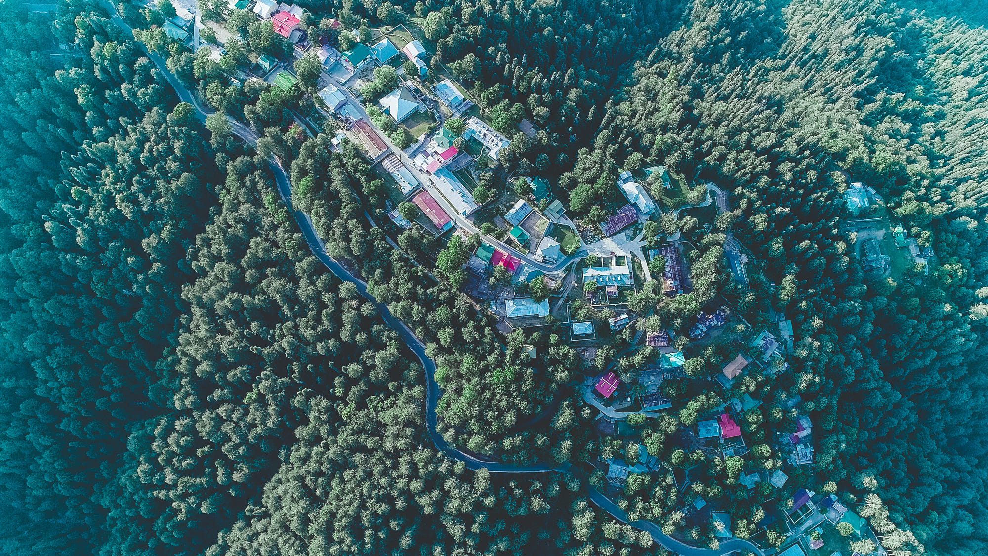 General 2000x1125 nature forest aerial view landscape