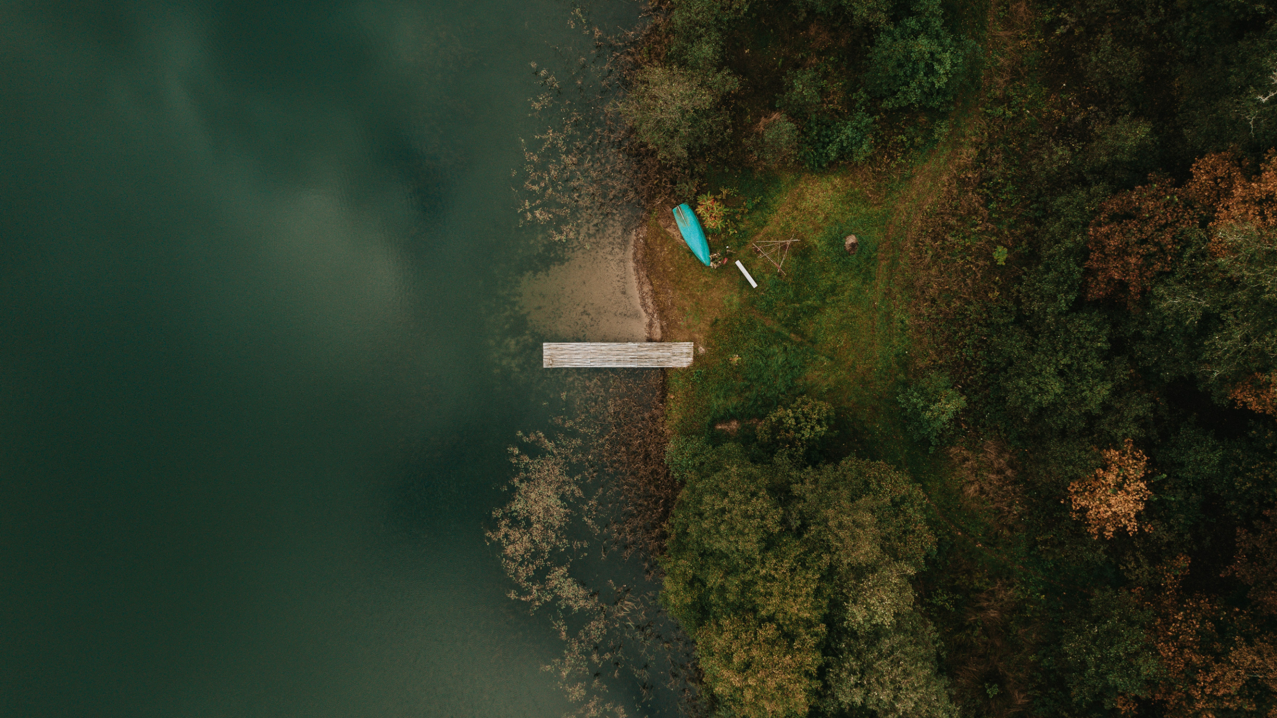 General 2560x1440 nature water boat plants trees green rainforest sea drone photo aerial view Latvia