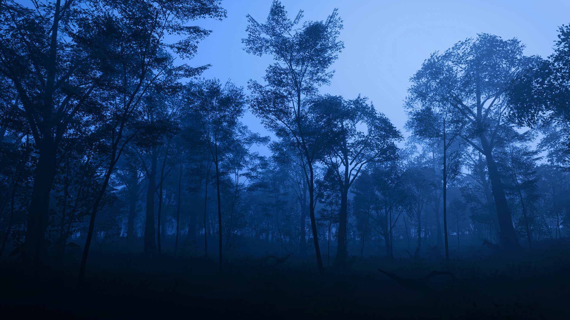 General 1920x1080 video games Forza Forza Horizon 5 trees forest dark blue PlaygroundGames nature video game art screen shot sky CGI low light
