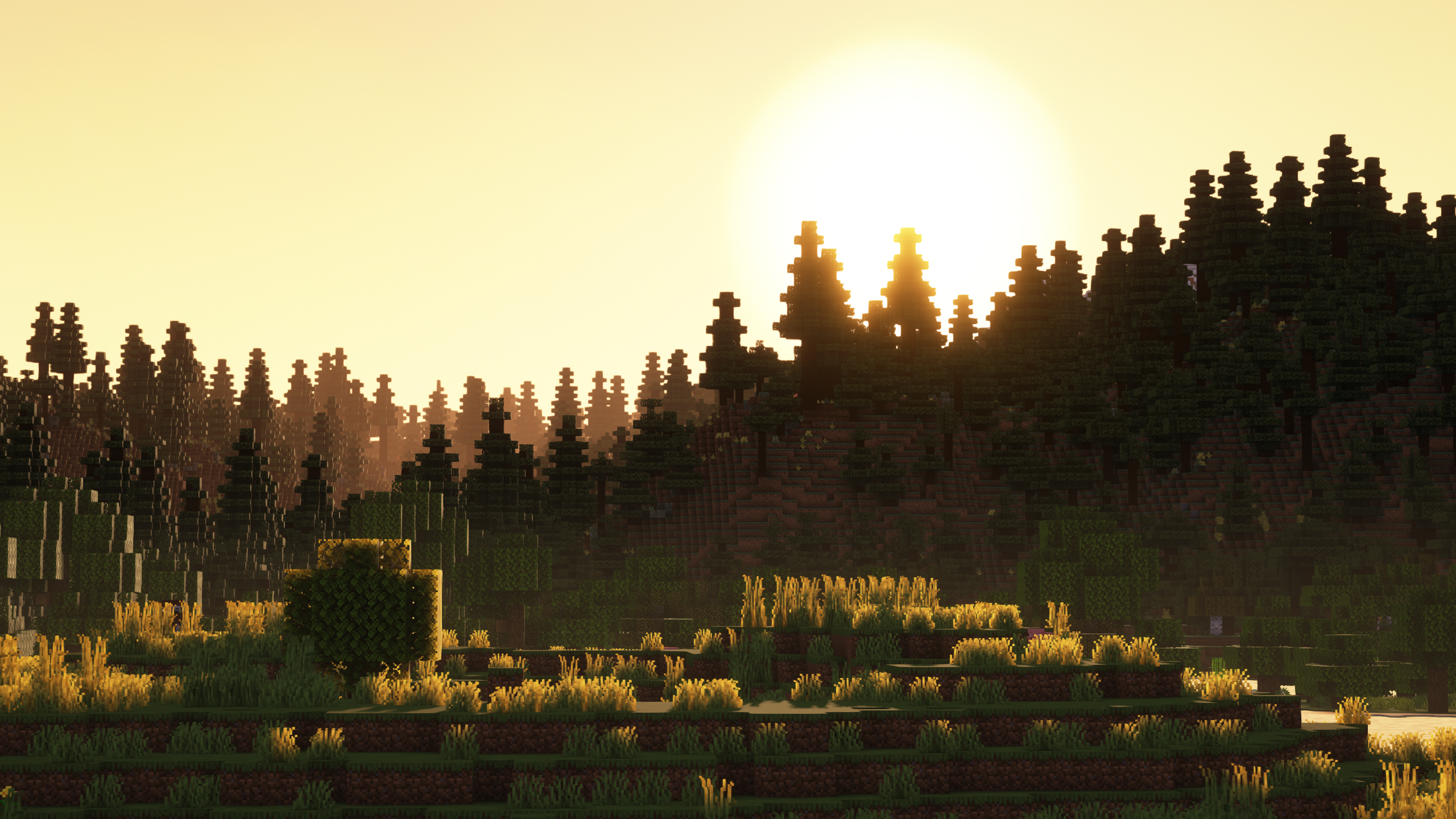 General 2560x1440 Minecraft outdoors shaders sun rays video games grass trees CGI nature