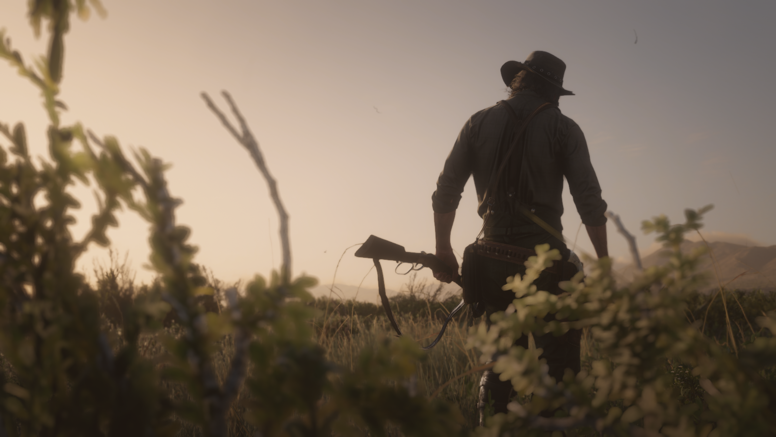 General 2560x1440 Red Dead Redemption 2 John Marston video game characters western weapon sunset nature