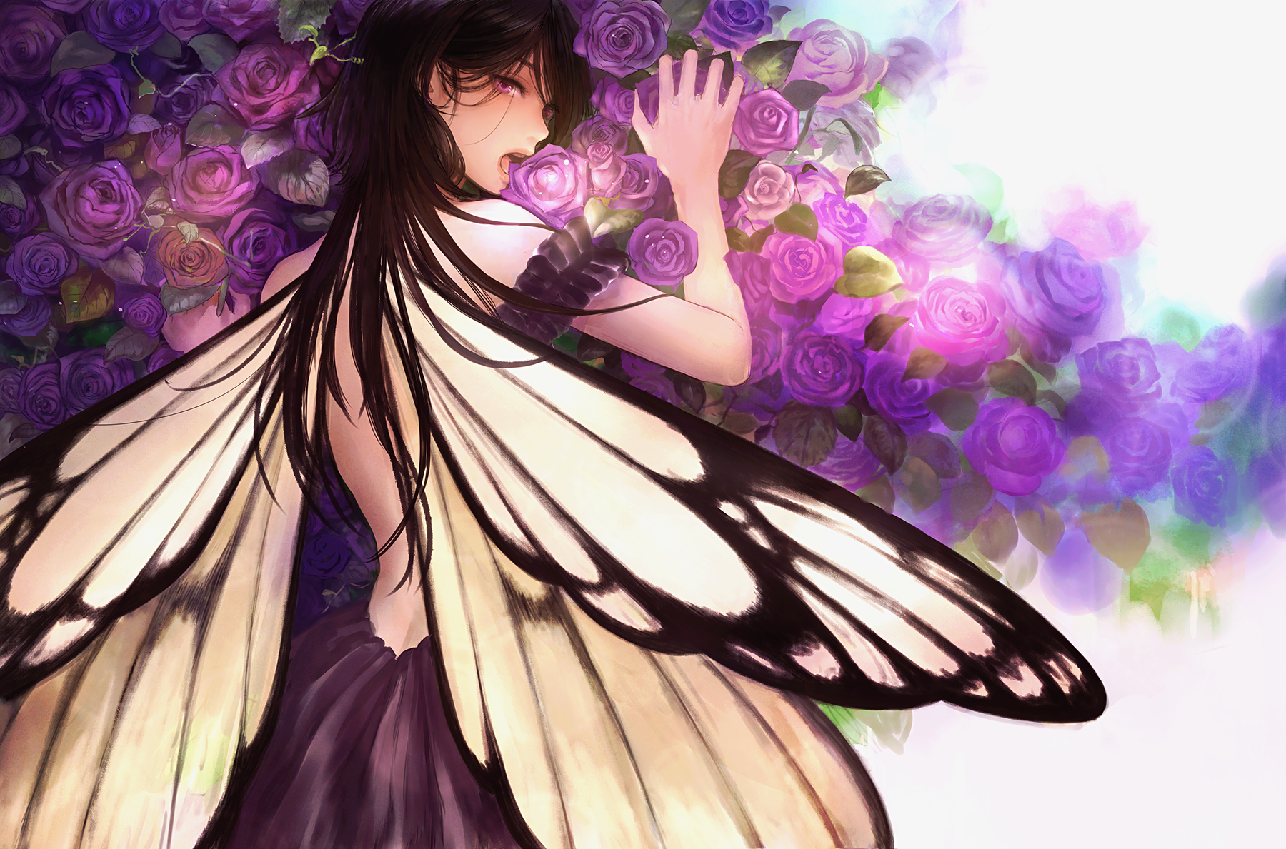Anime 1800x1189 anime anime girls flowers wings brunette long hair purple eyes butterfly dress looking at viewer rose